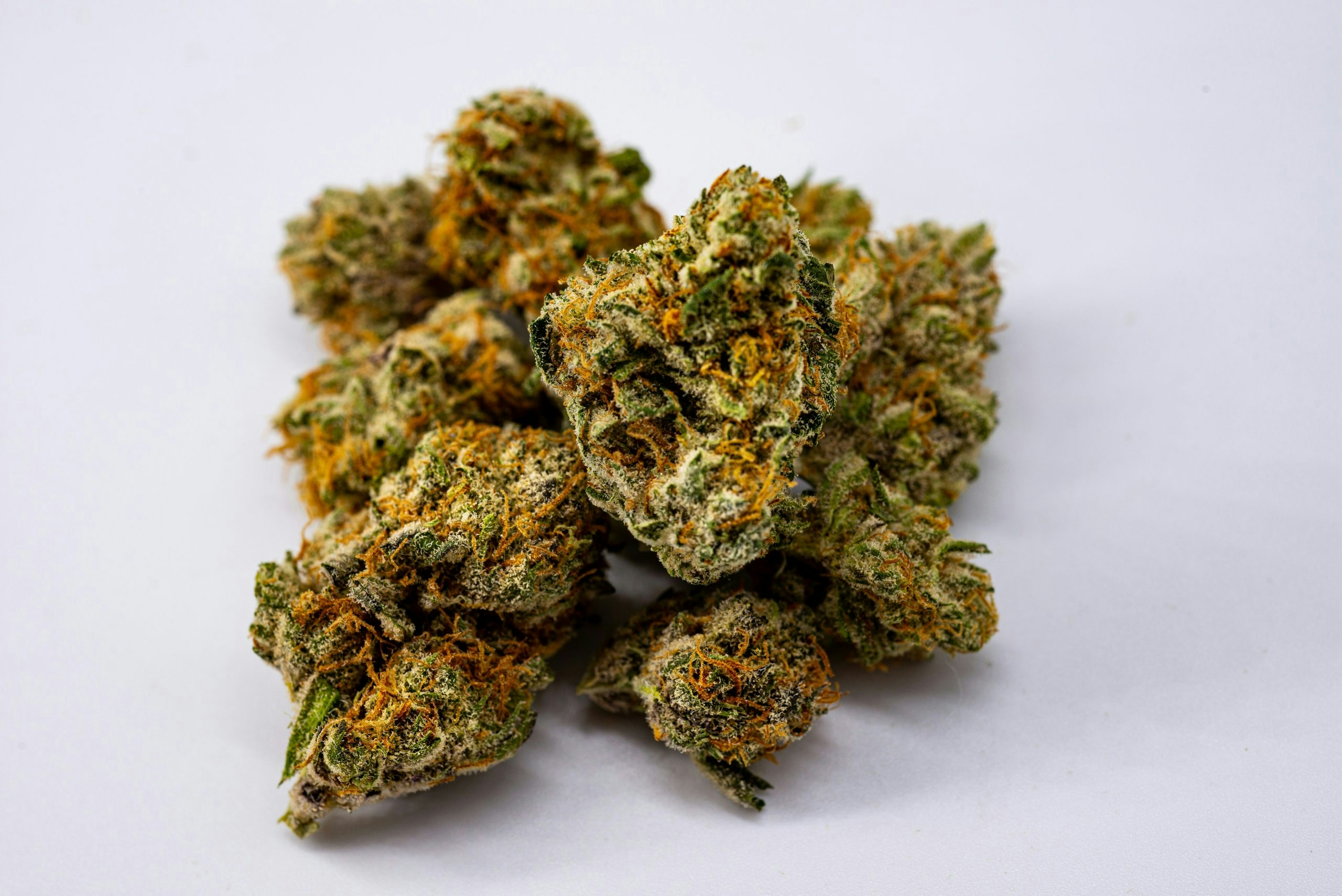 Close-up of several dense cannabis buds arranged on a tabletop