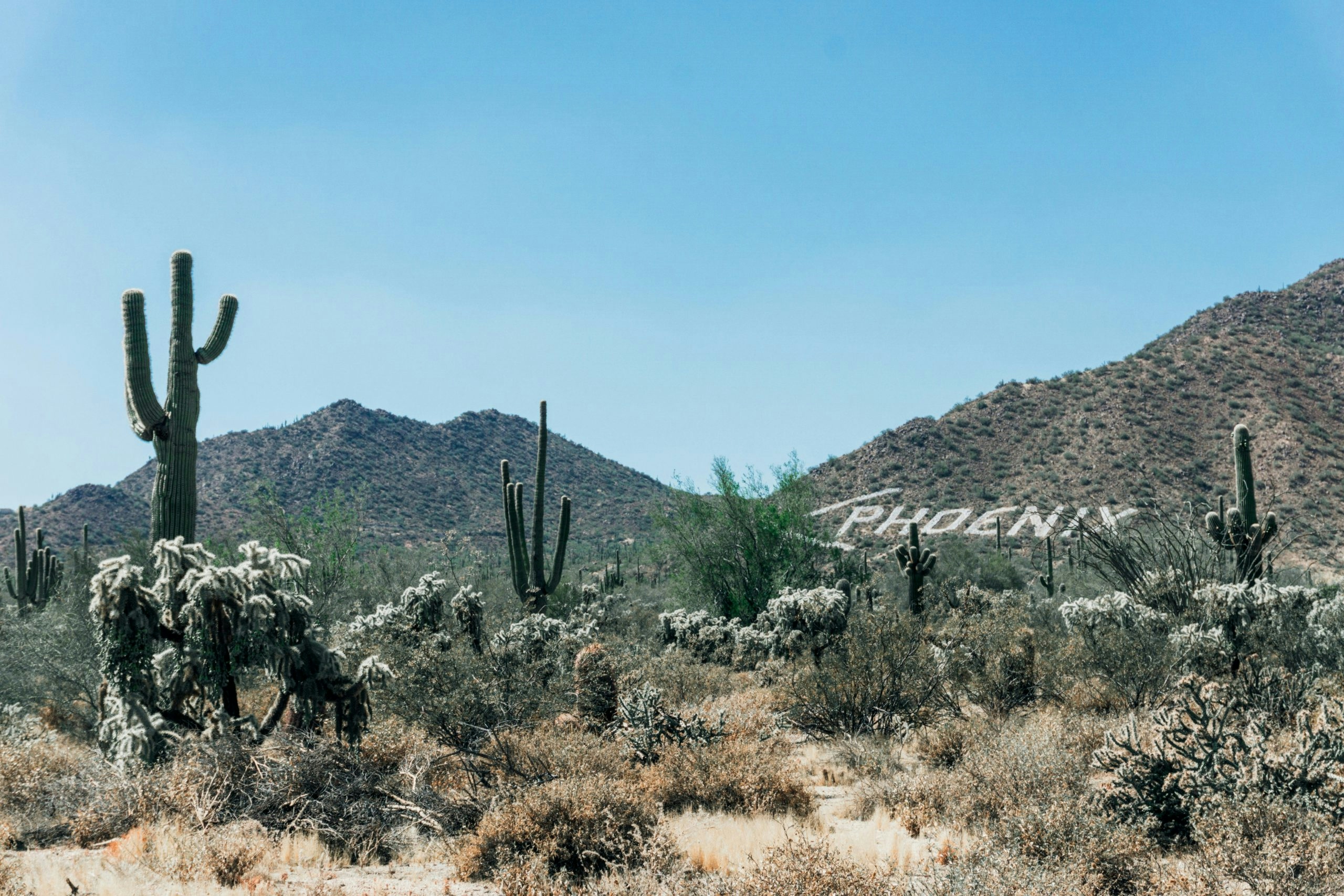 Scenic Sonoran Desert surrounding the city of Phoenix