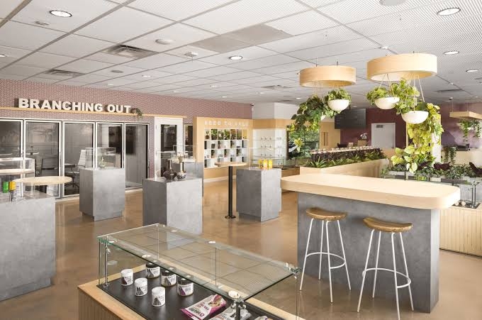How to Buy Weed in Phoenix: Arizona’s Legal Market, Dispensaries & Desert Cannabis Culture