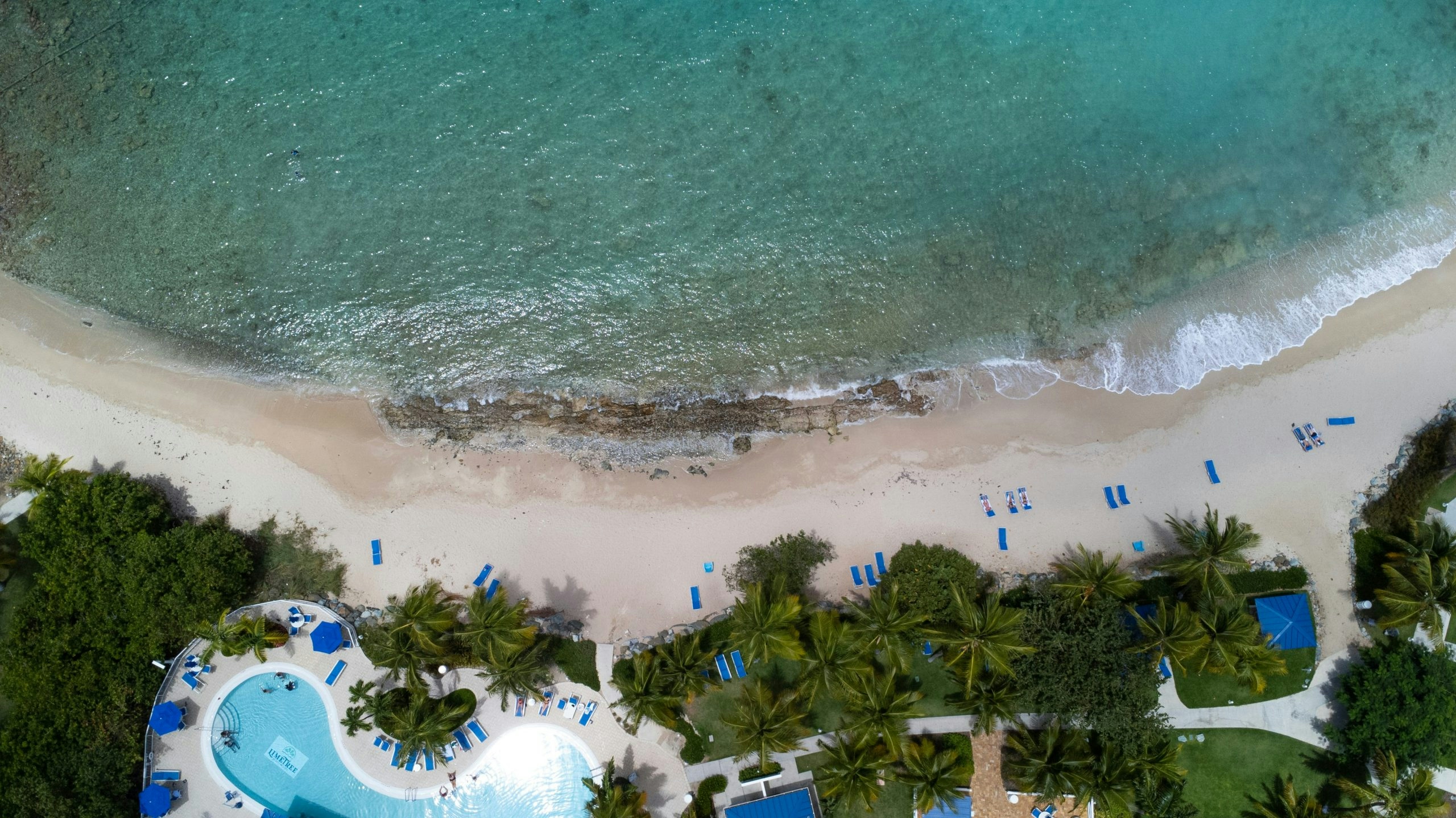 White sand beach lined with palm trees in the U.S. Virgin Islands