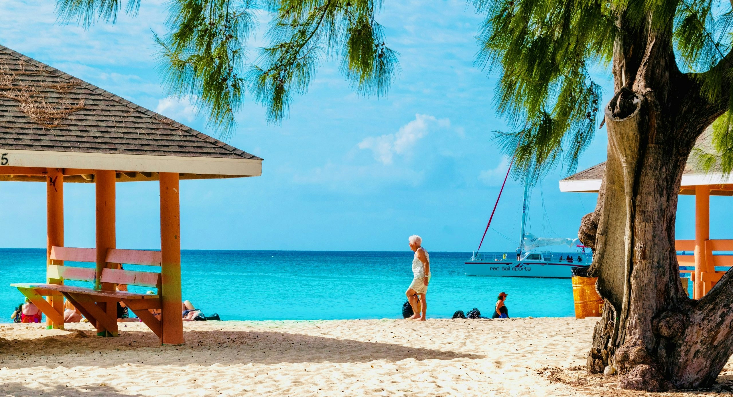 alm trees and lush tropical vegetation in the Cayman Islands.