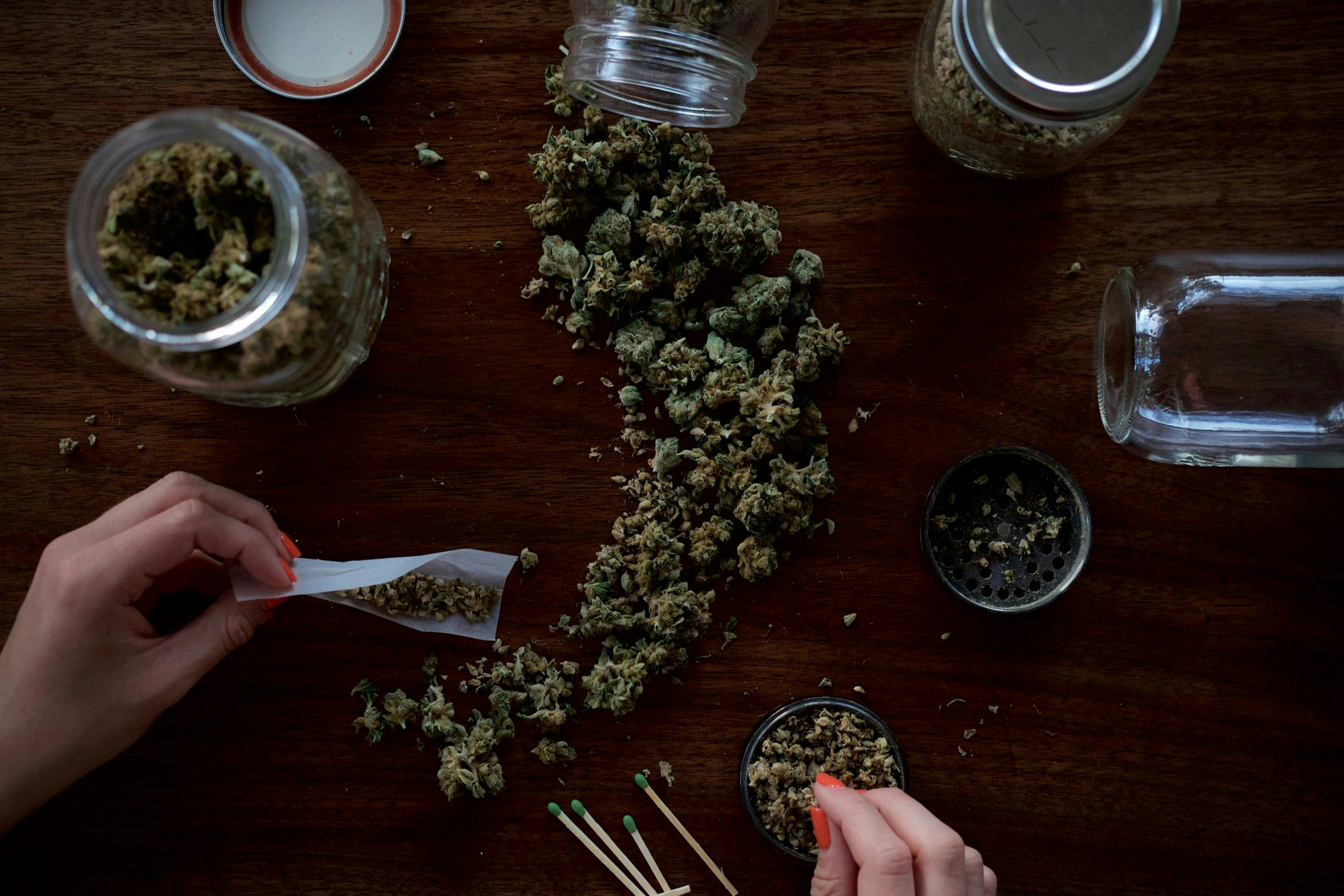 Weed nugs spread out on a table about to be rolled in a joint.