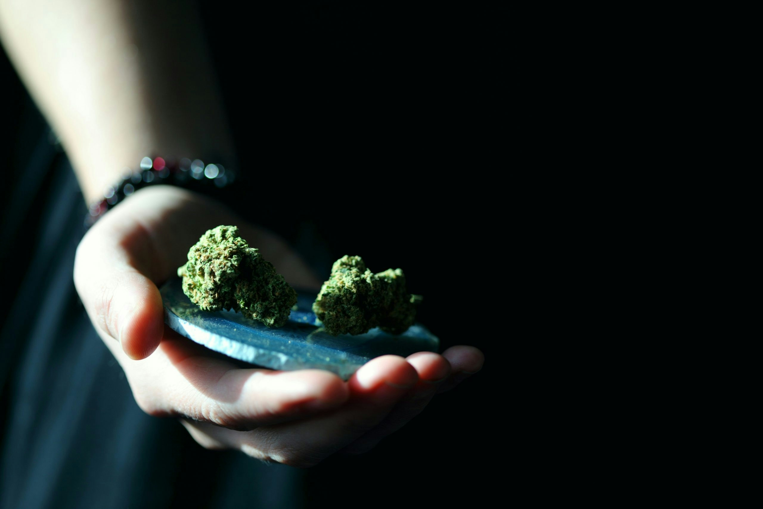 A hand holding a tin of dense cannabis nugs.