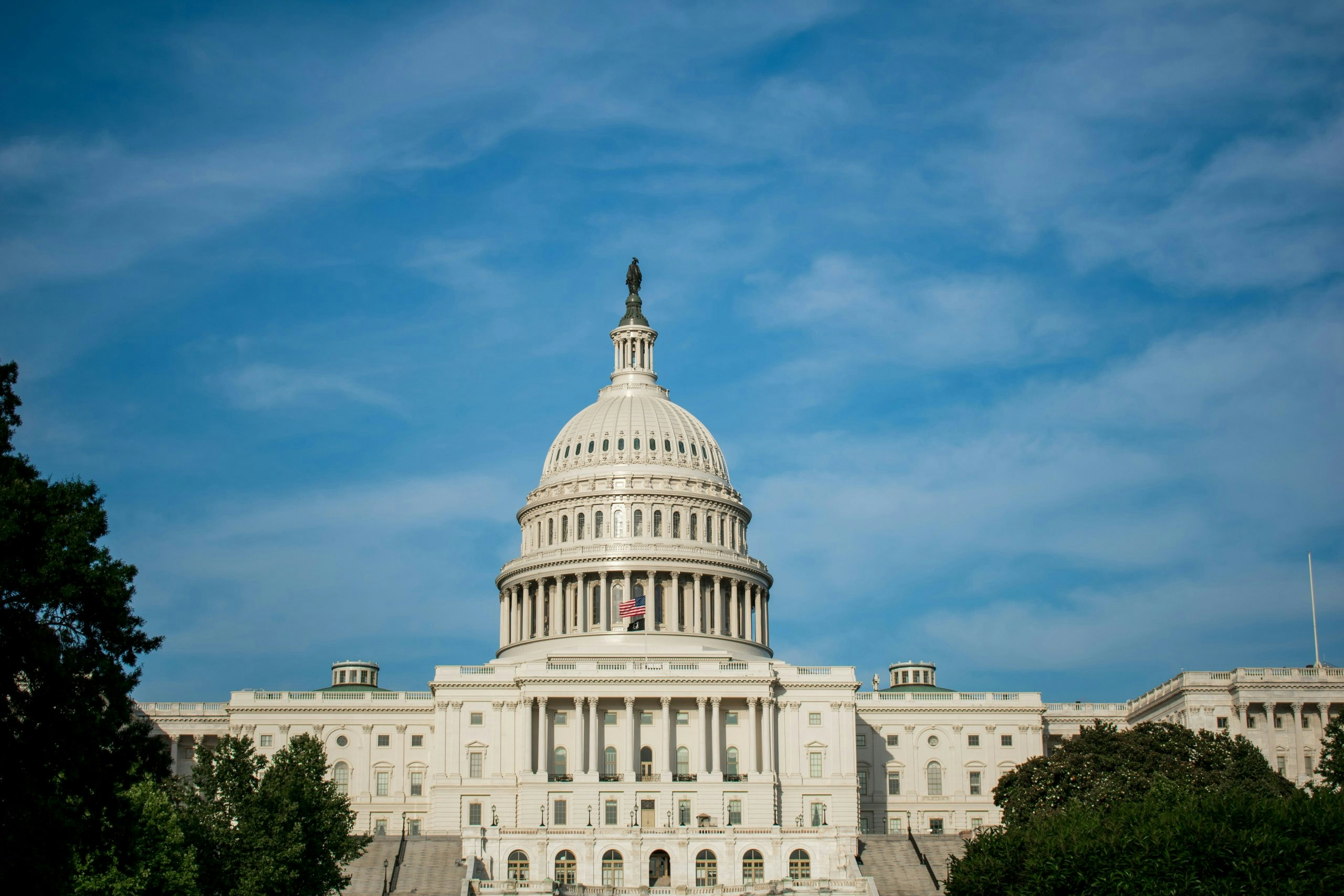 U.S. Capitol dome representing the legislative branch of the United States government