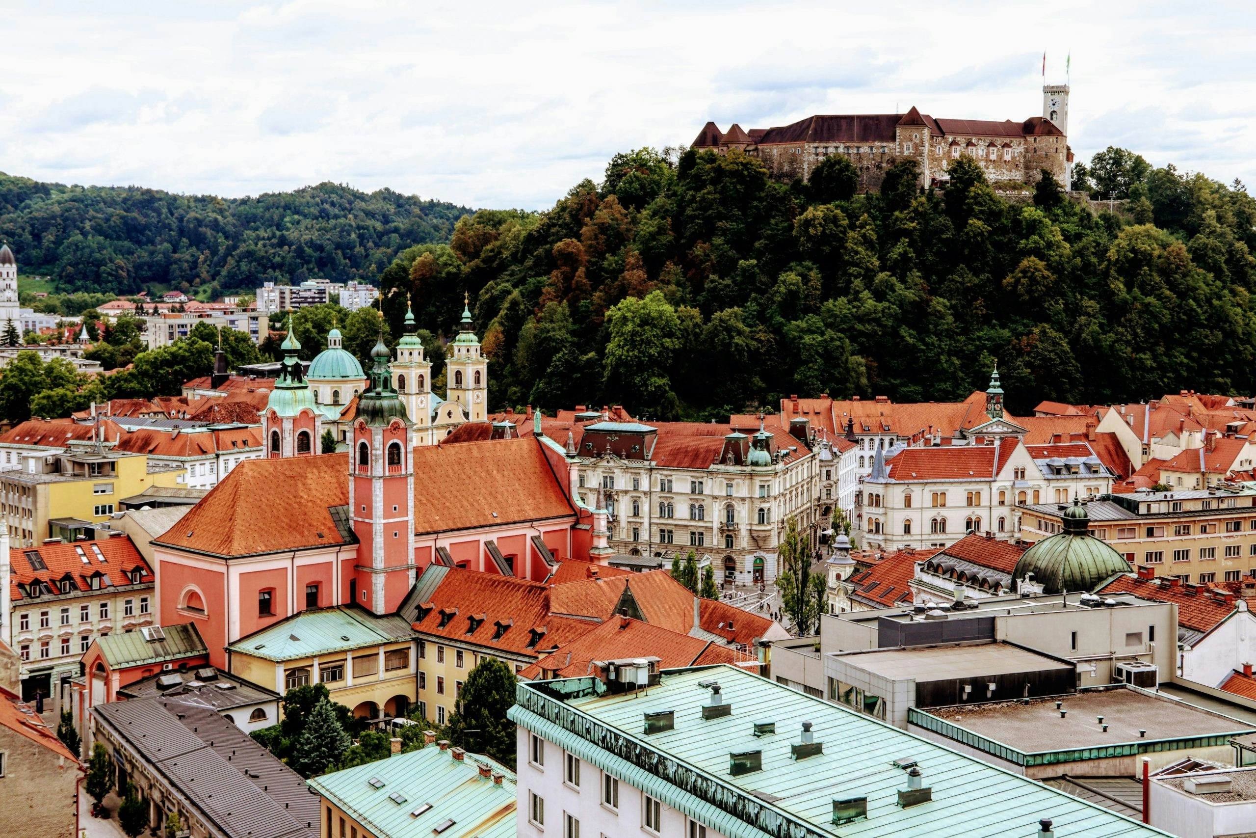 Row of traditional Slovenian homes with warm terracotta rooftops and lush greenery