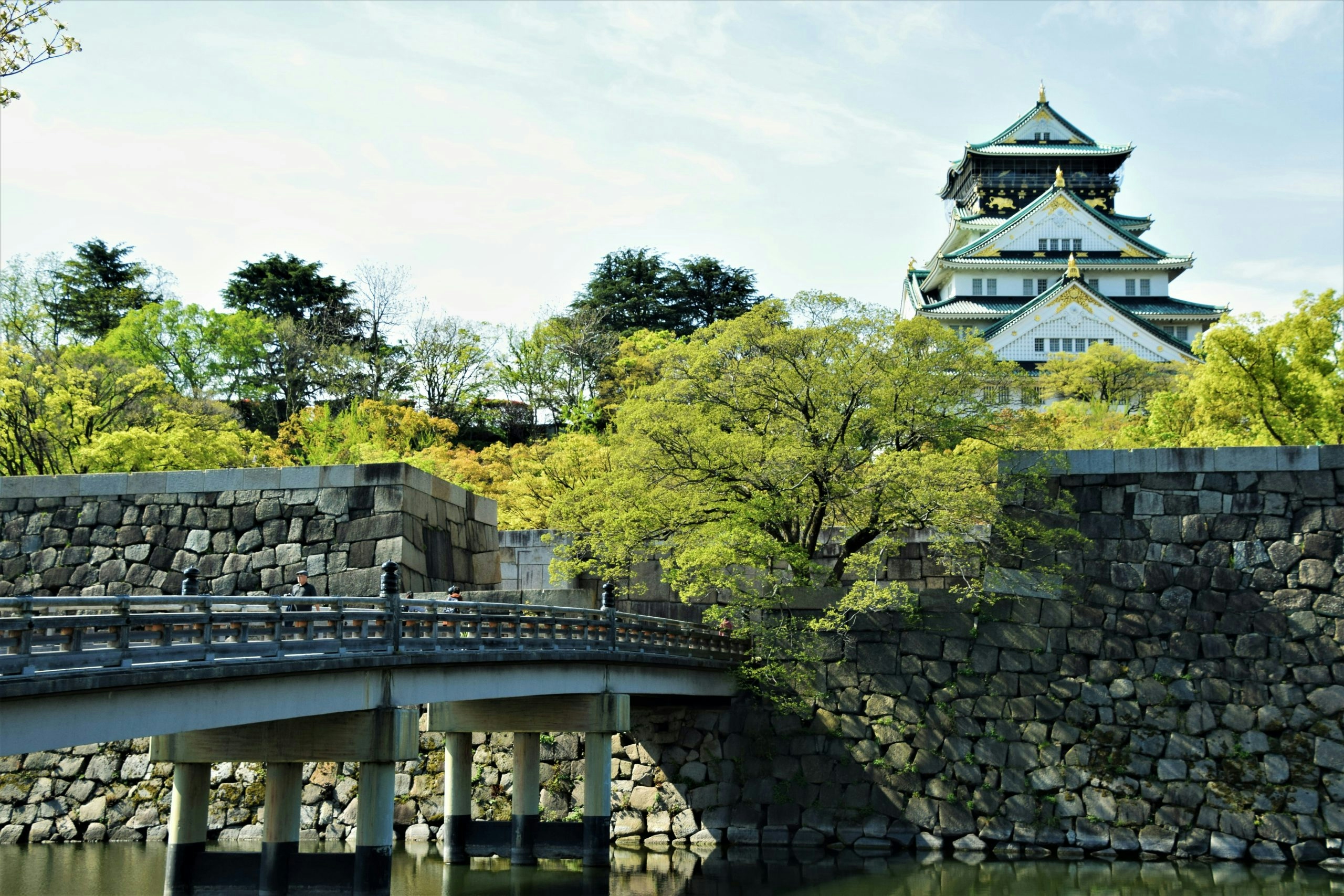 Picturesque Japanese countryside with green hills and traditional homes