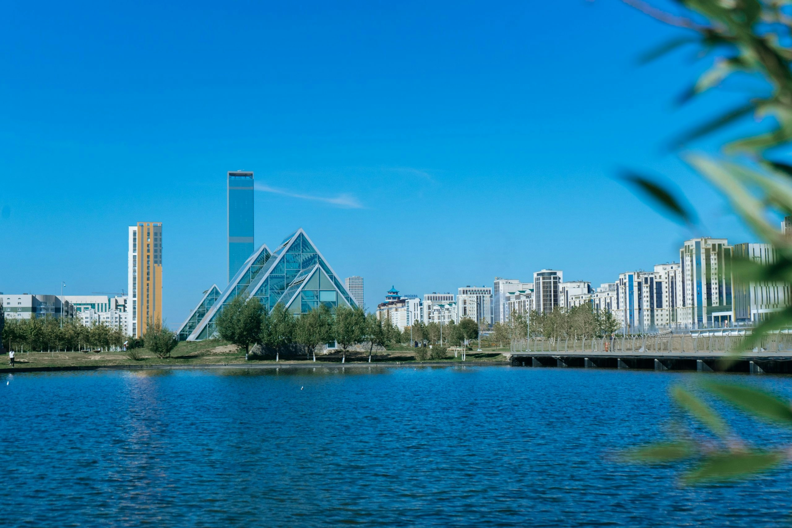 How to Buy Weed in Kazakhstan: Wild Cannabis in the Chuy Valley and Strict Modern Laws