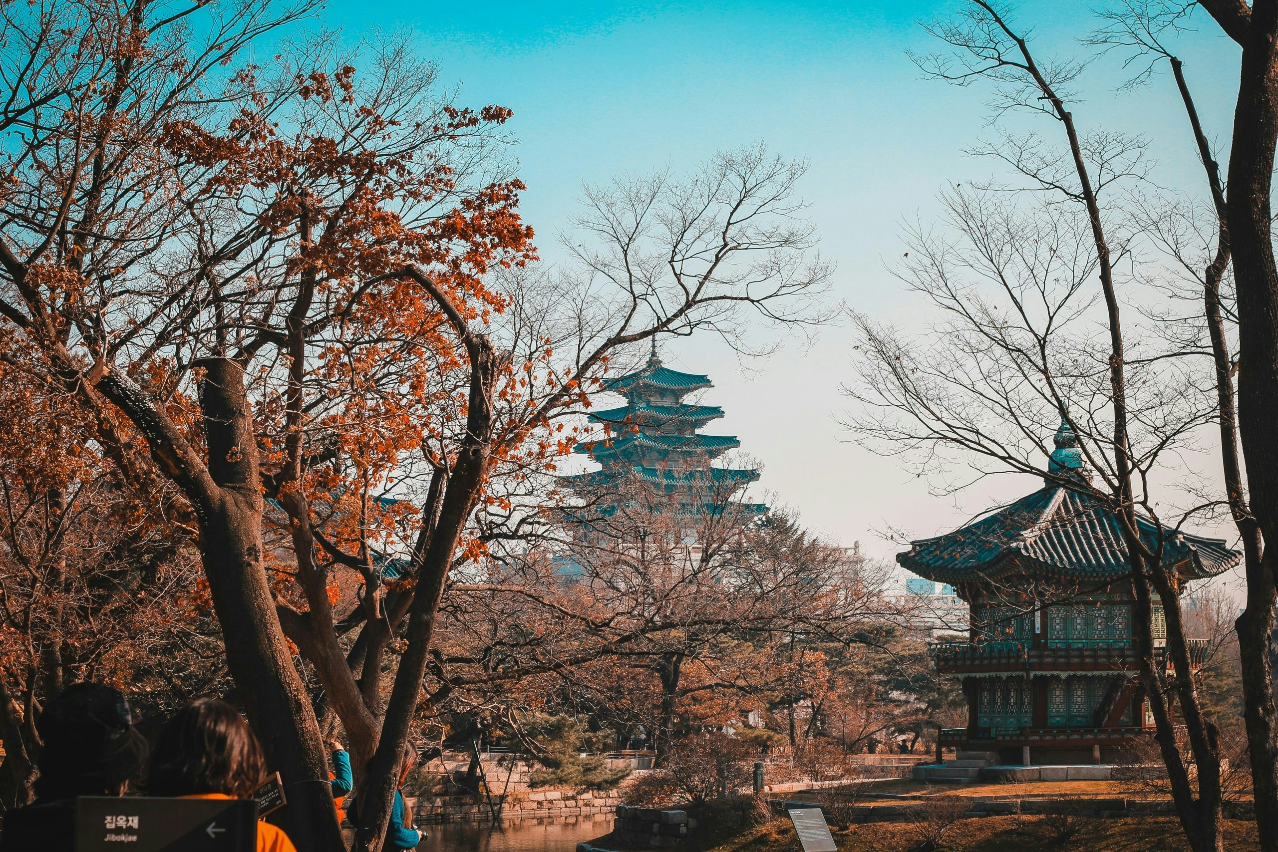 traditional temple in the forest