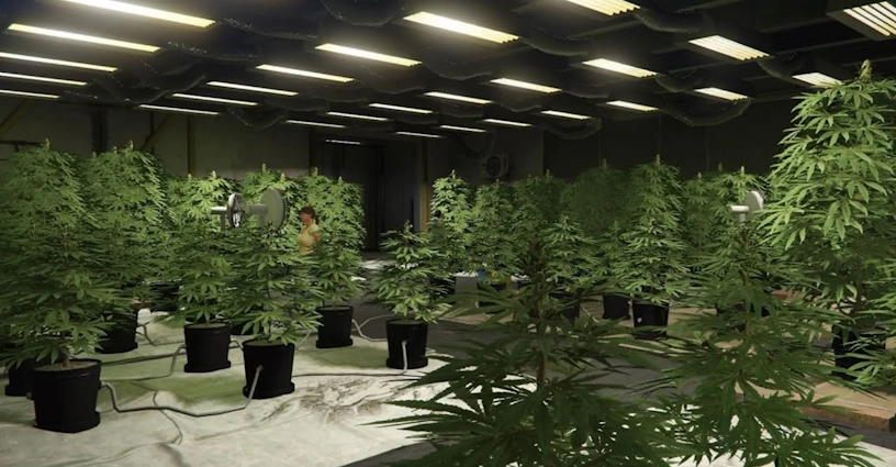 GTA 6 and Weed: Every Cannabis Clue in Rockstar’s Next Game