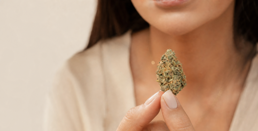 Watermelon OG Strain: Reviews, Effects, Terpenes & More
