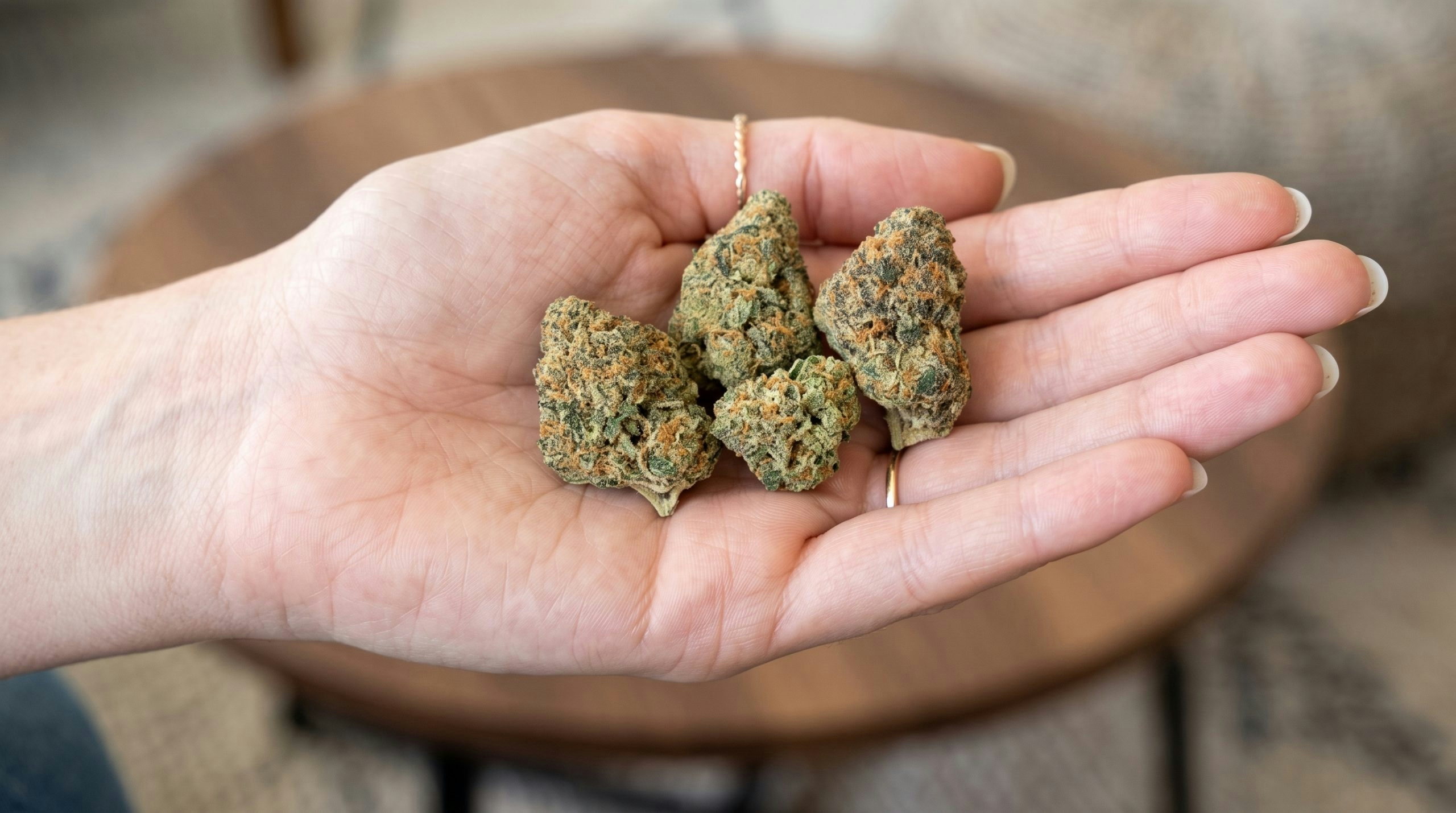 Close-up view of cannabis flower buds over a hand