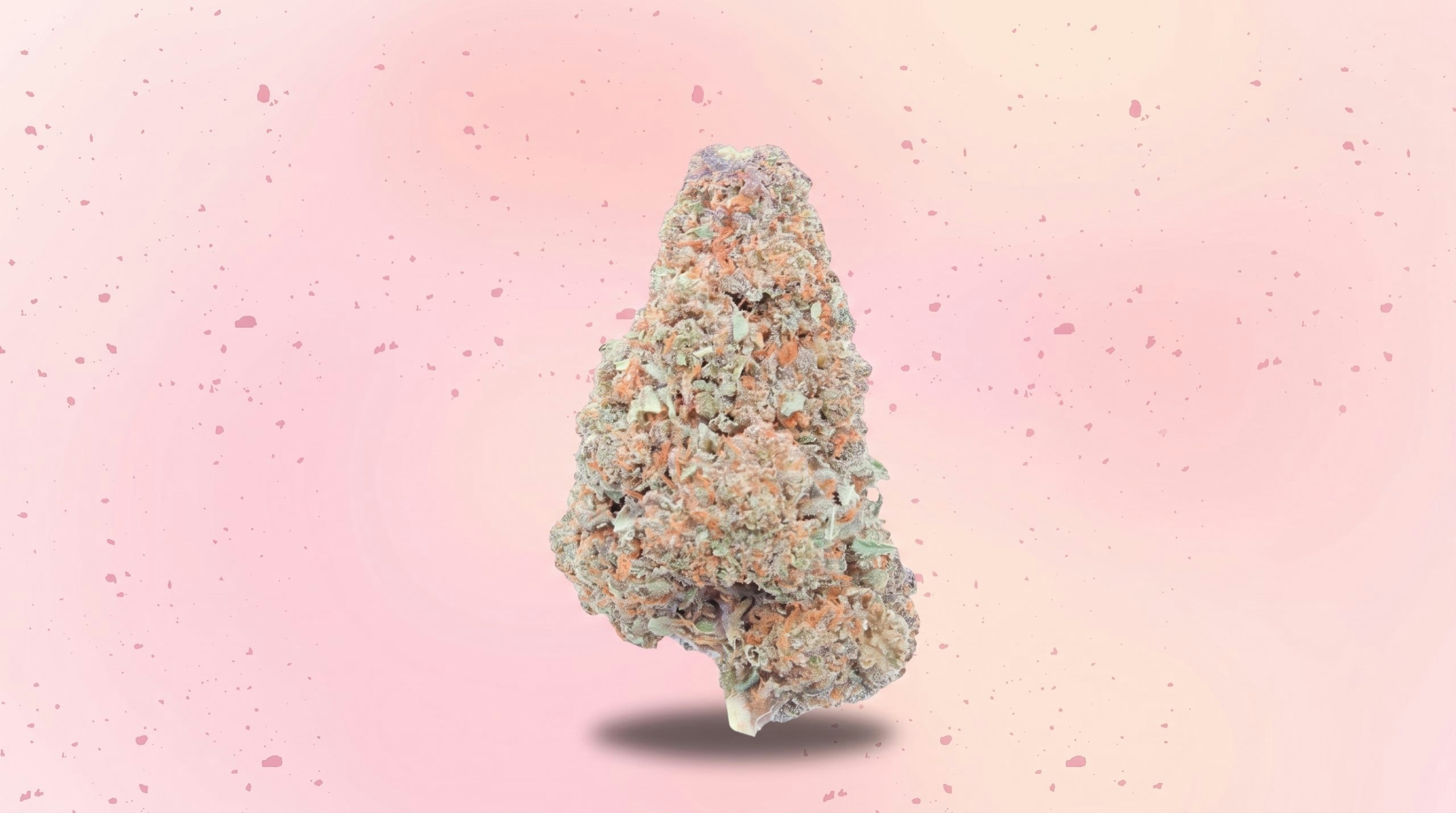 Detailed close-up of several cannabis buds