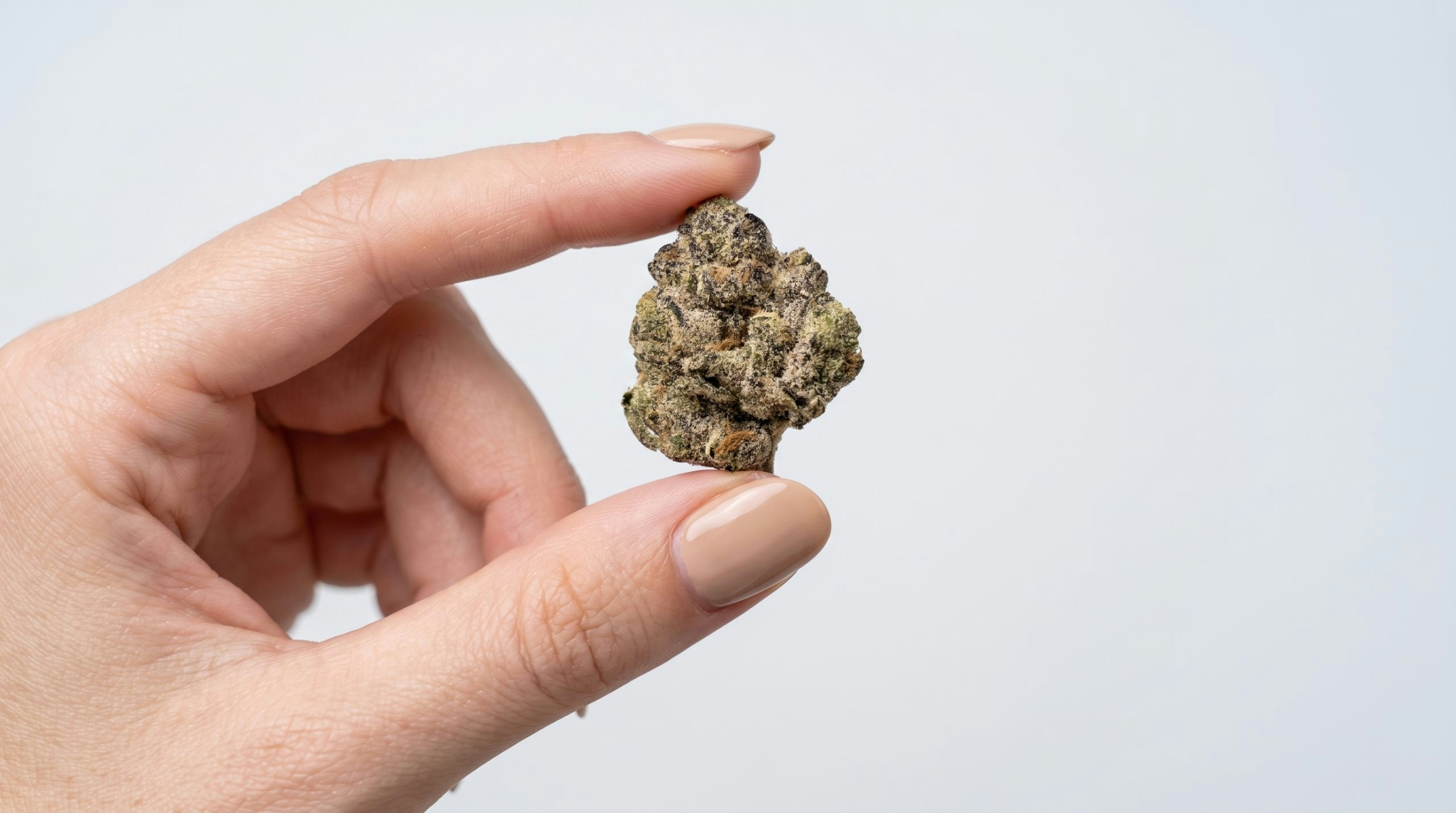 Black Panther Strain: A Complete Breakdown