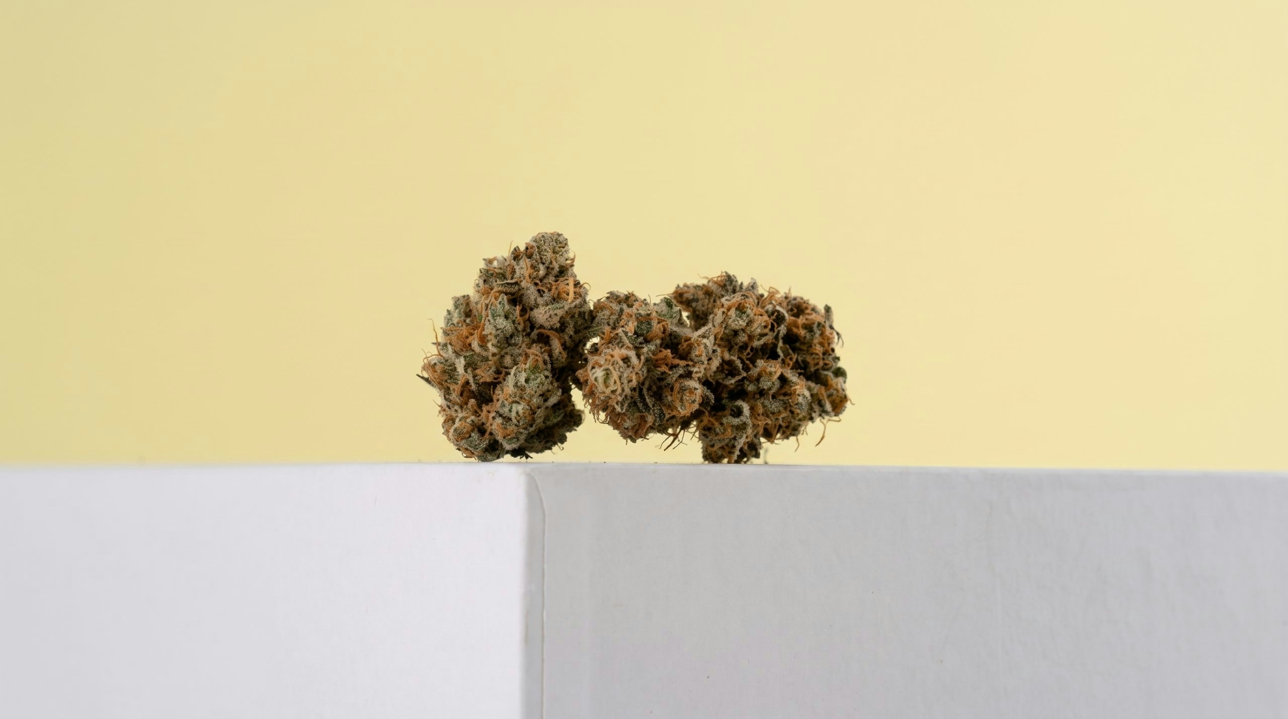 Detailed close-up of several cannabis buds