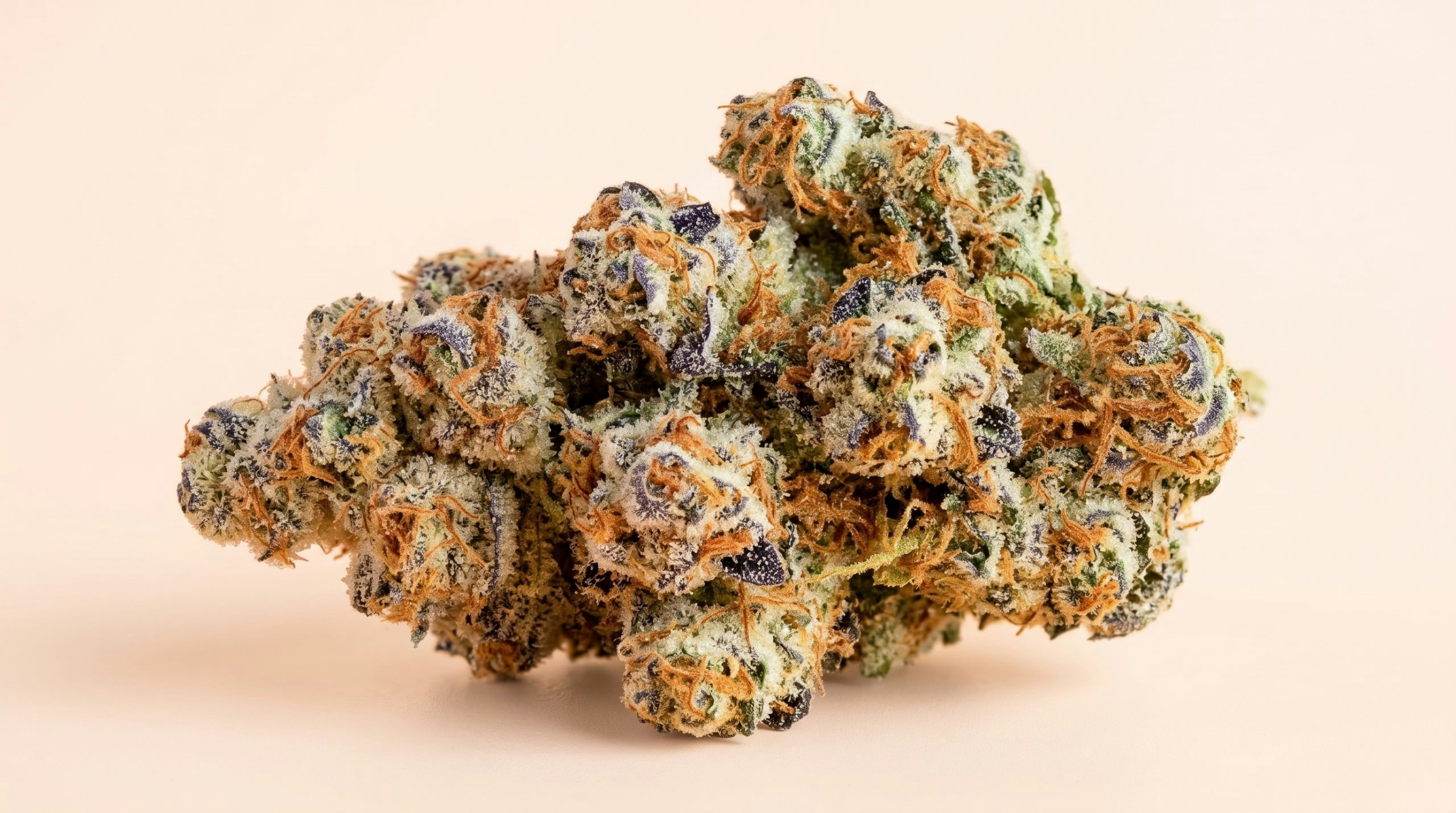 Close-up of a cannabis flower bud against a pastel papaya background