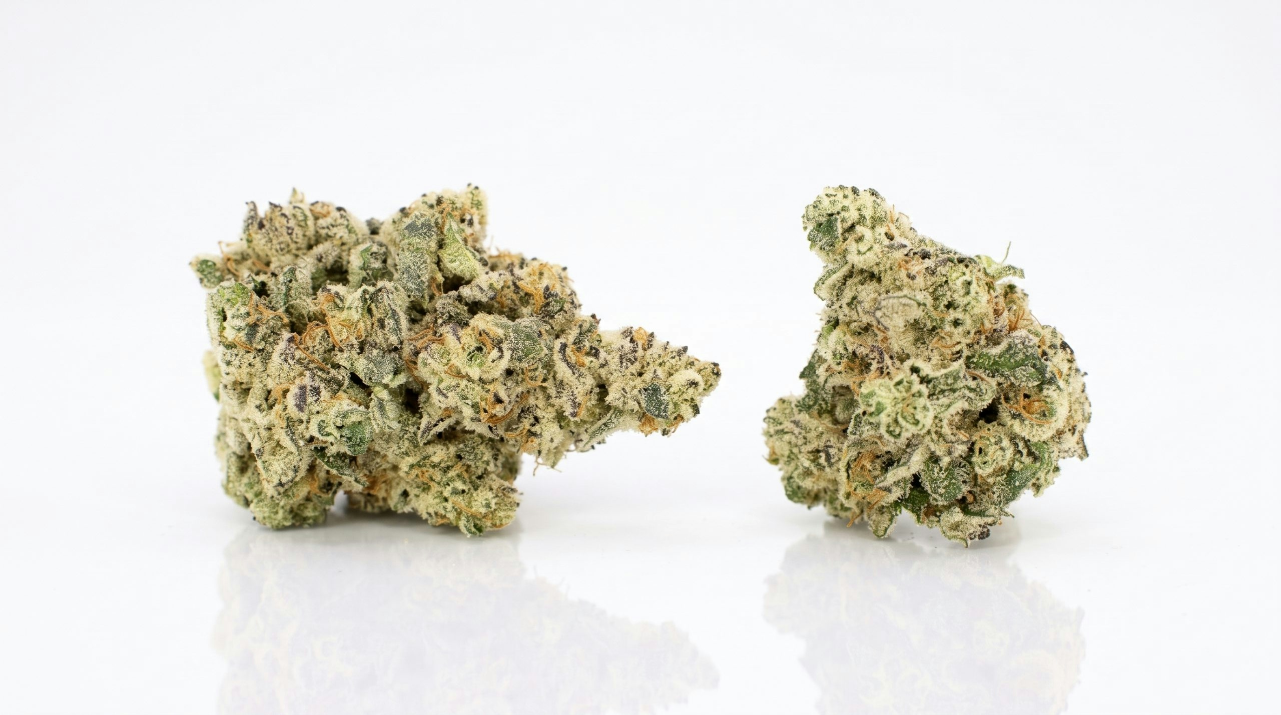 two buds of the frog poison strain