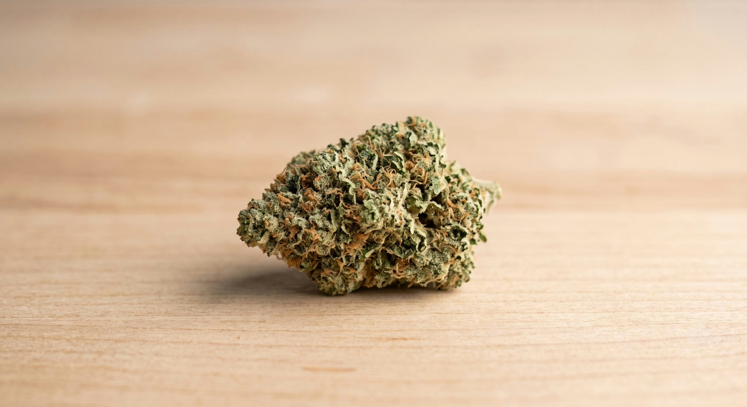 Cannabis bud resting on a wooden table