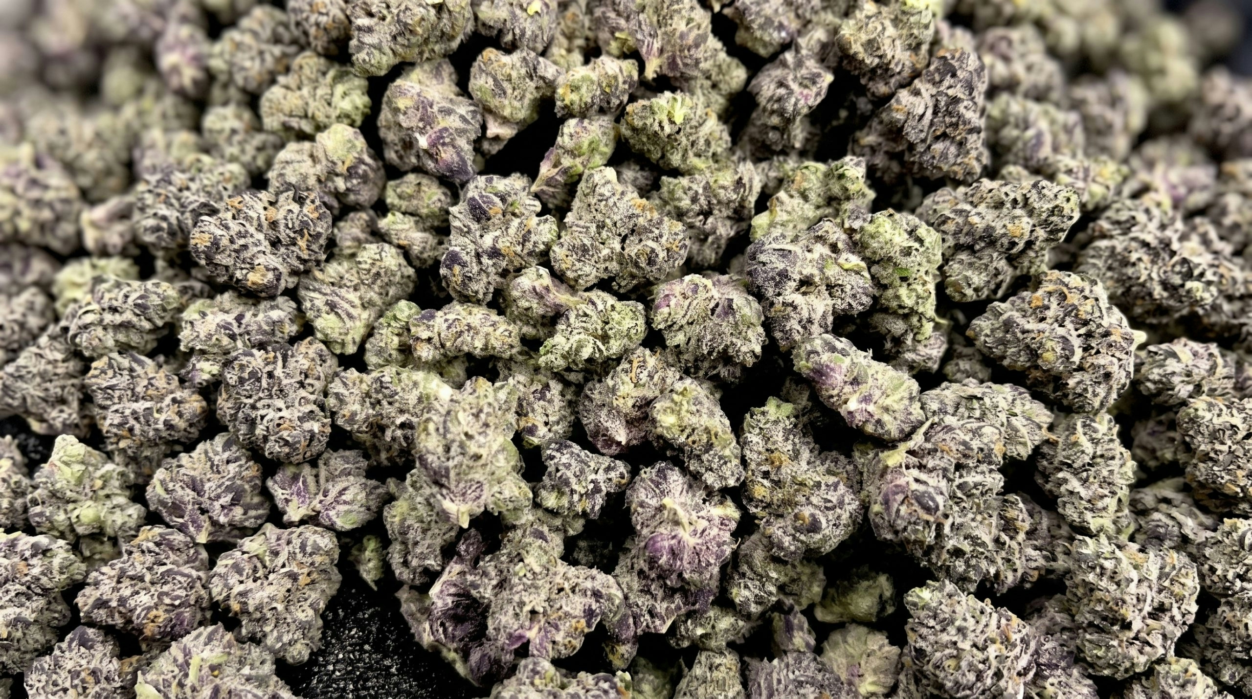 Cannabis buds