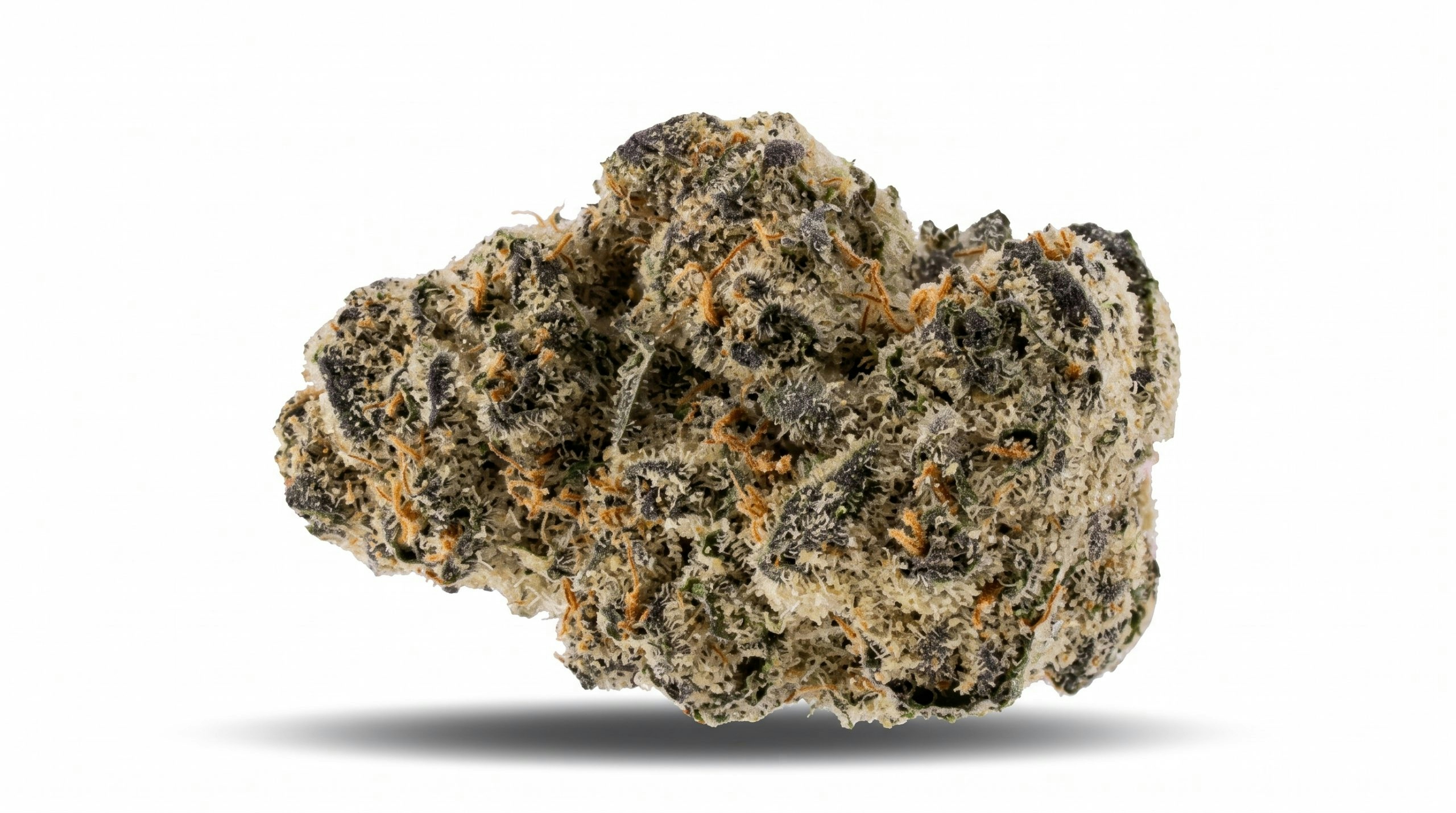 Bolo Runtz cannabis flower against a white background