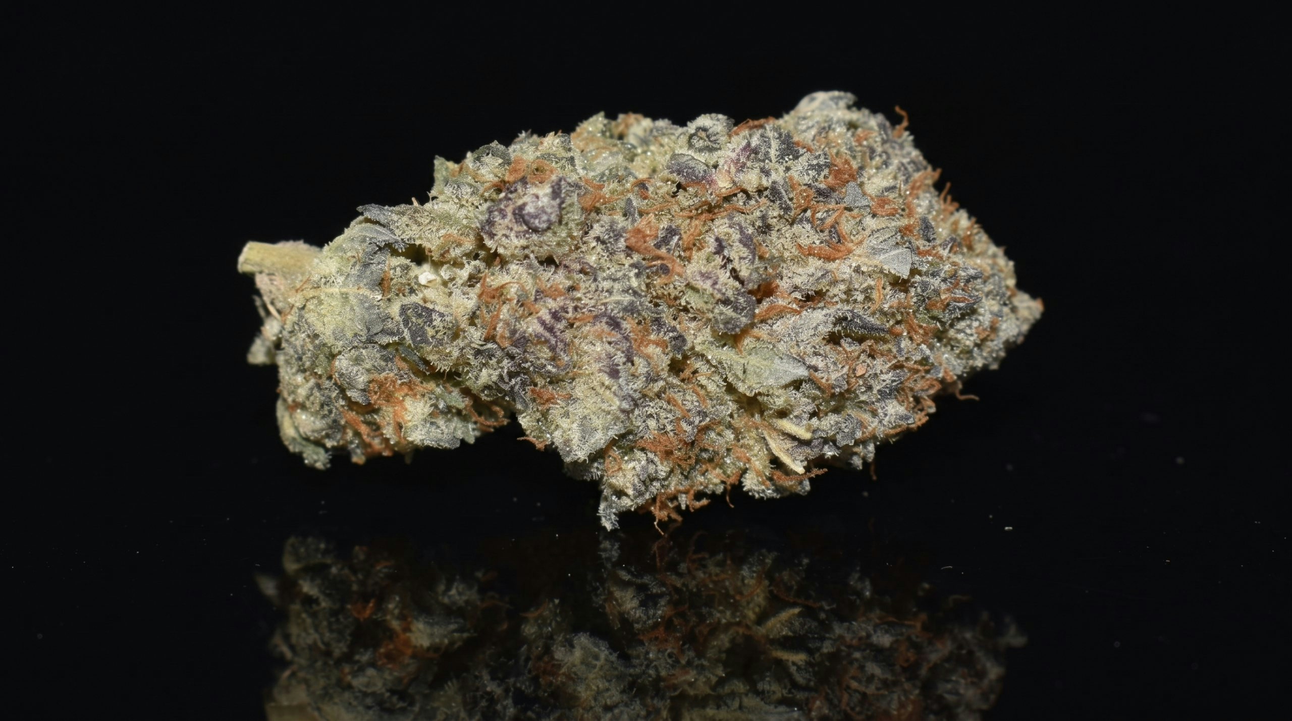 Cannabis bud on a black background