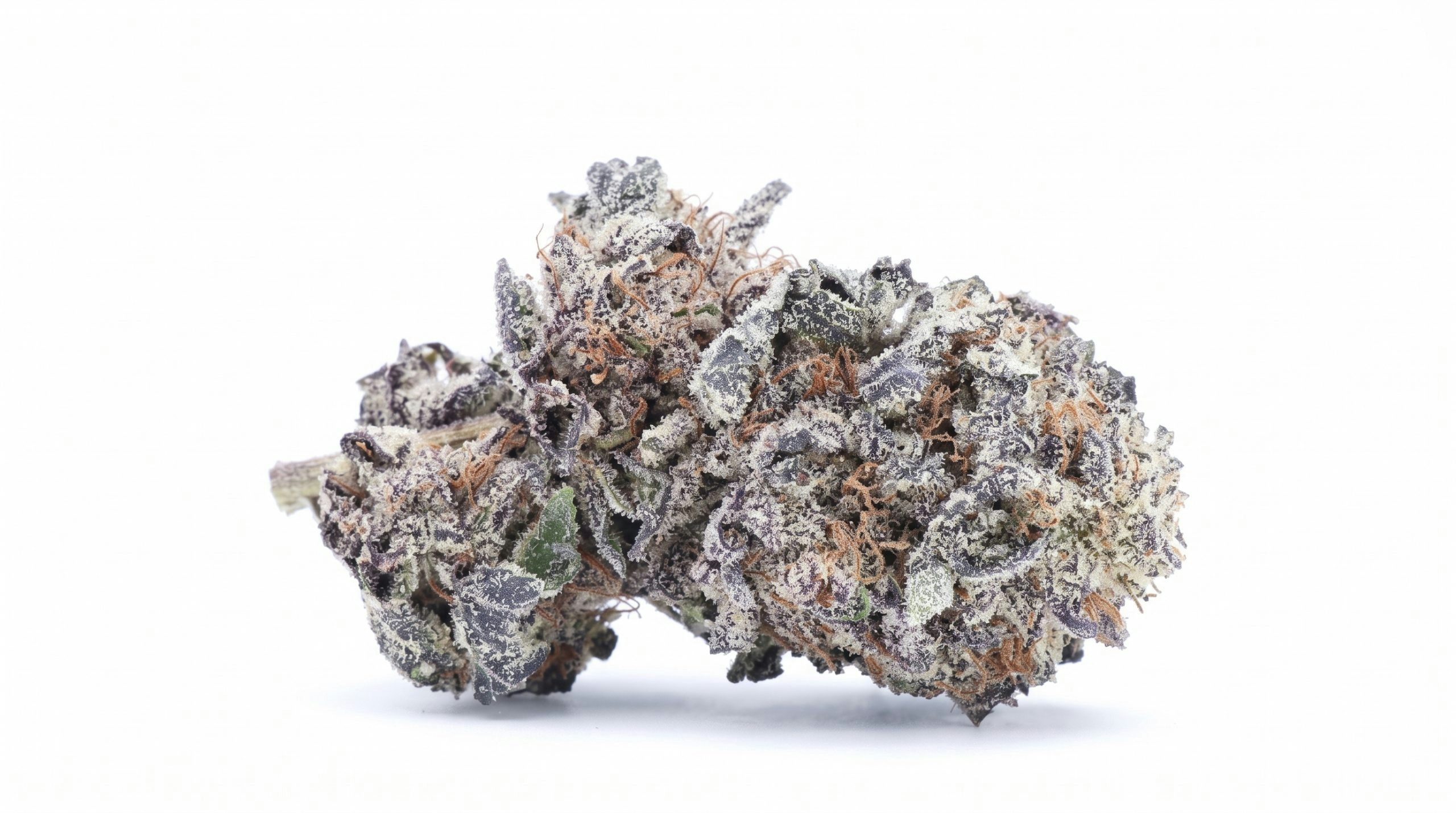 Cannabis bud on a white background