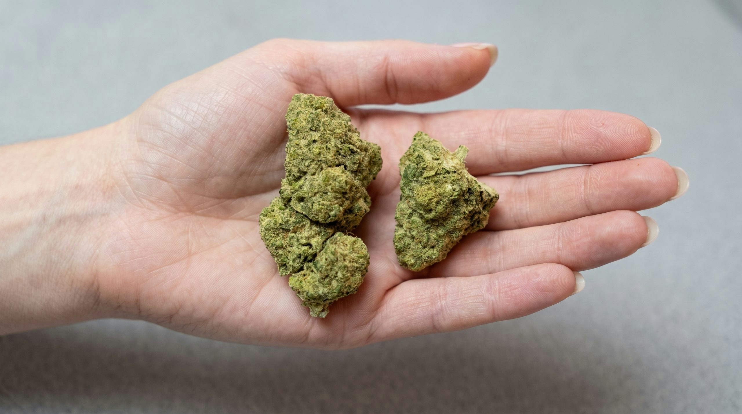Hand holding a premium cannabis bud covered in frosty trichomes