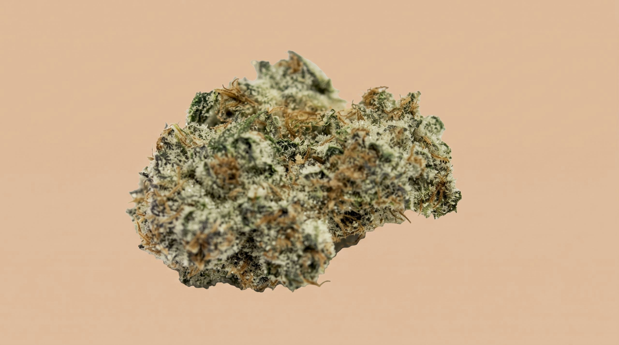 Close-up of a cannabis bud displayed against a solid brown background