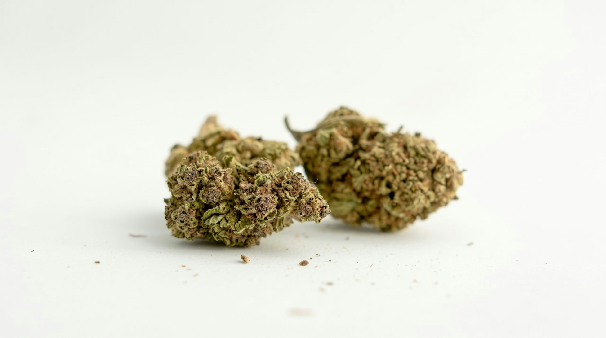 Cannabis bud on a white background