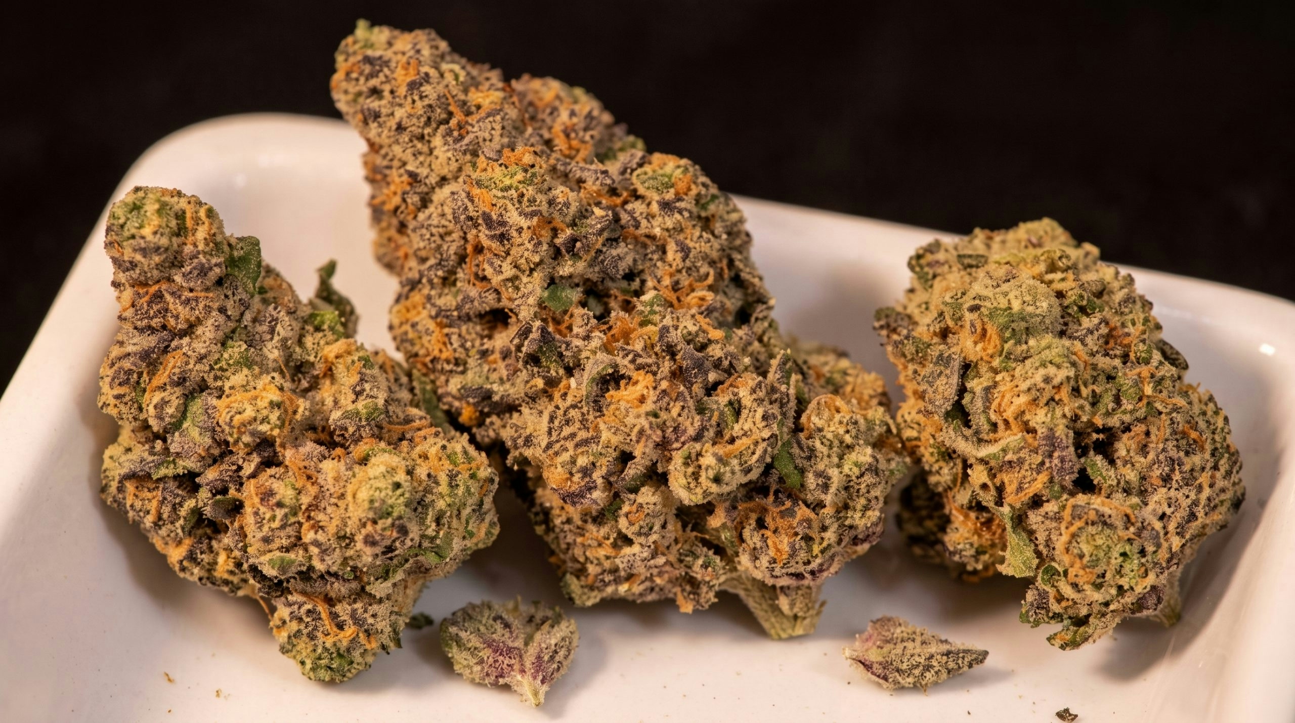 Several cannabis buds arranged on a rolling tray