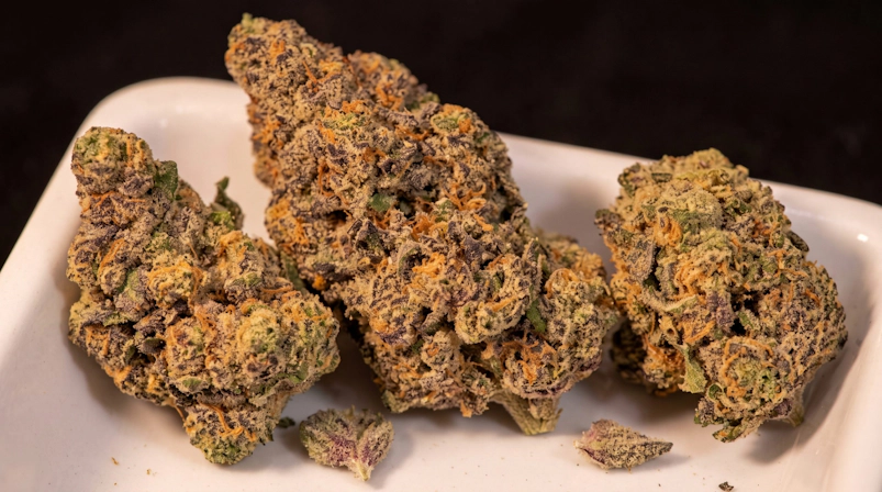 Several cannabis buds arranged on a rolling tray