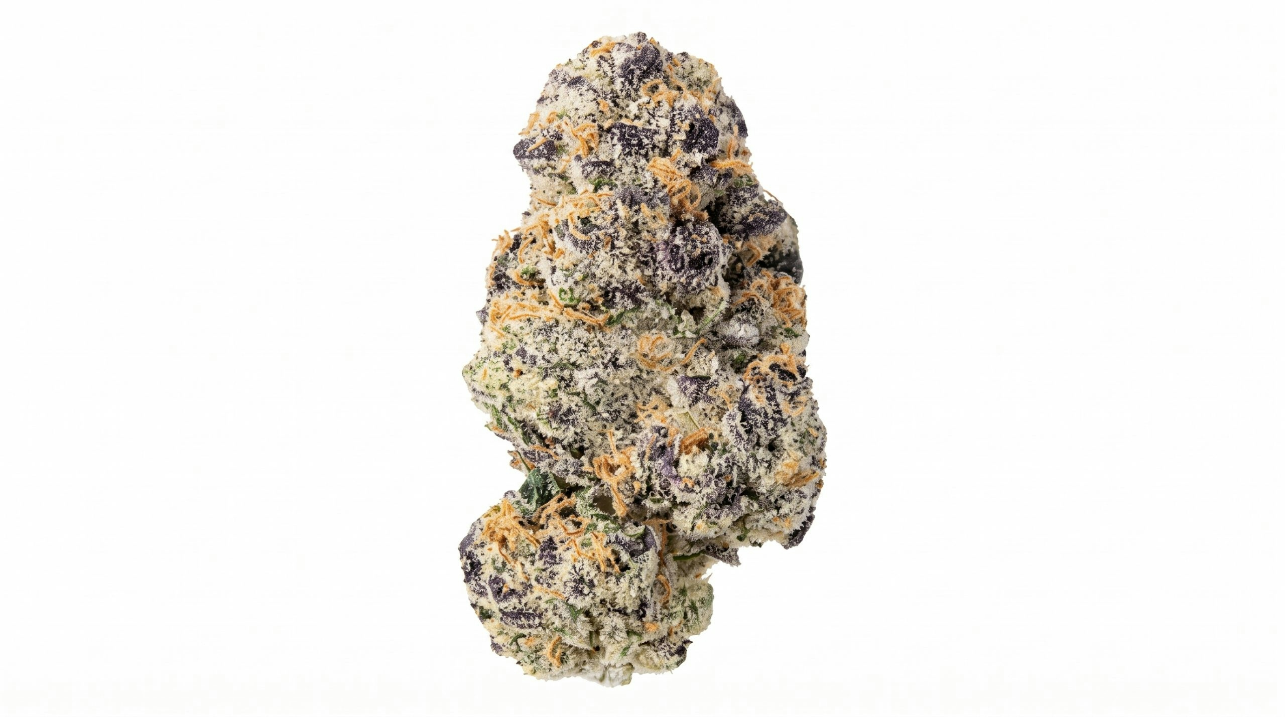 d'lish cannabis bud displayed against a white backdrop