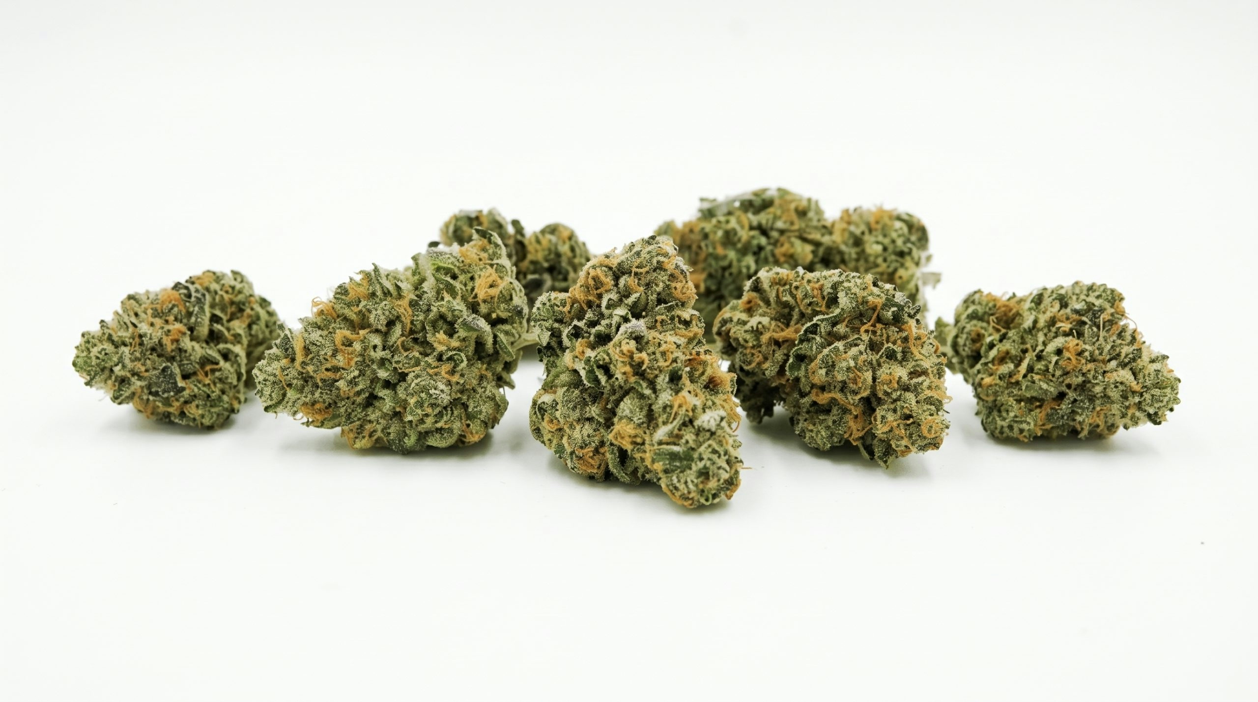 cannabis bud displayed against a white backdrop