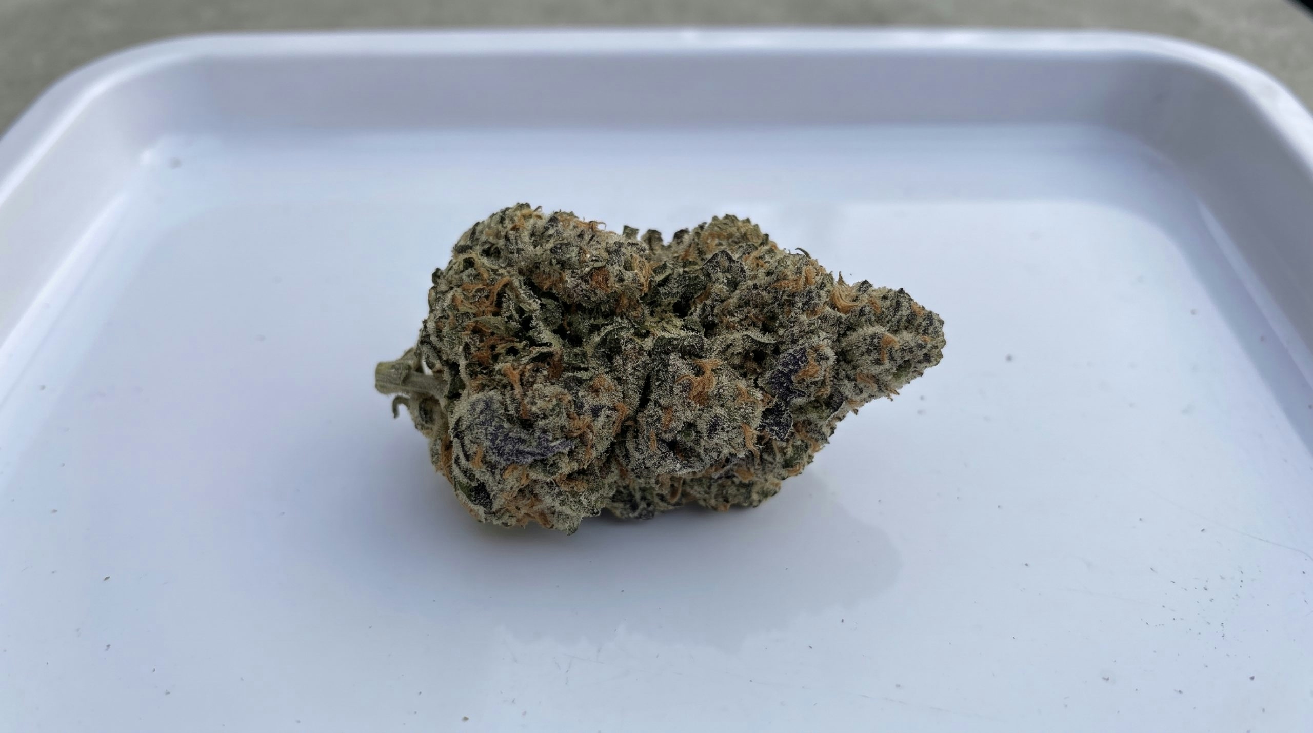one cannabis bud on top of a rolling tray