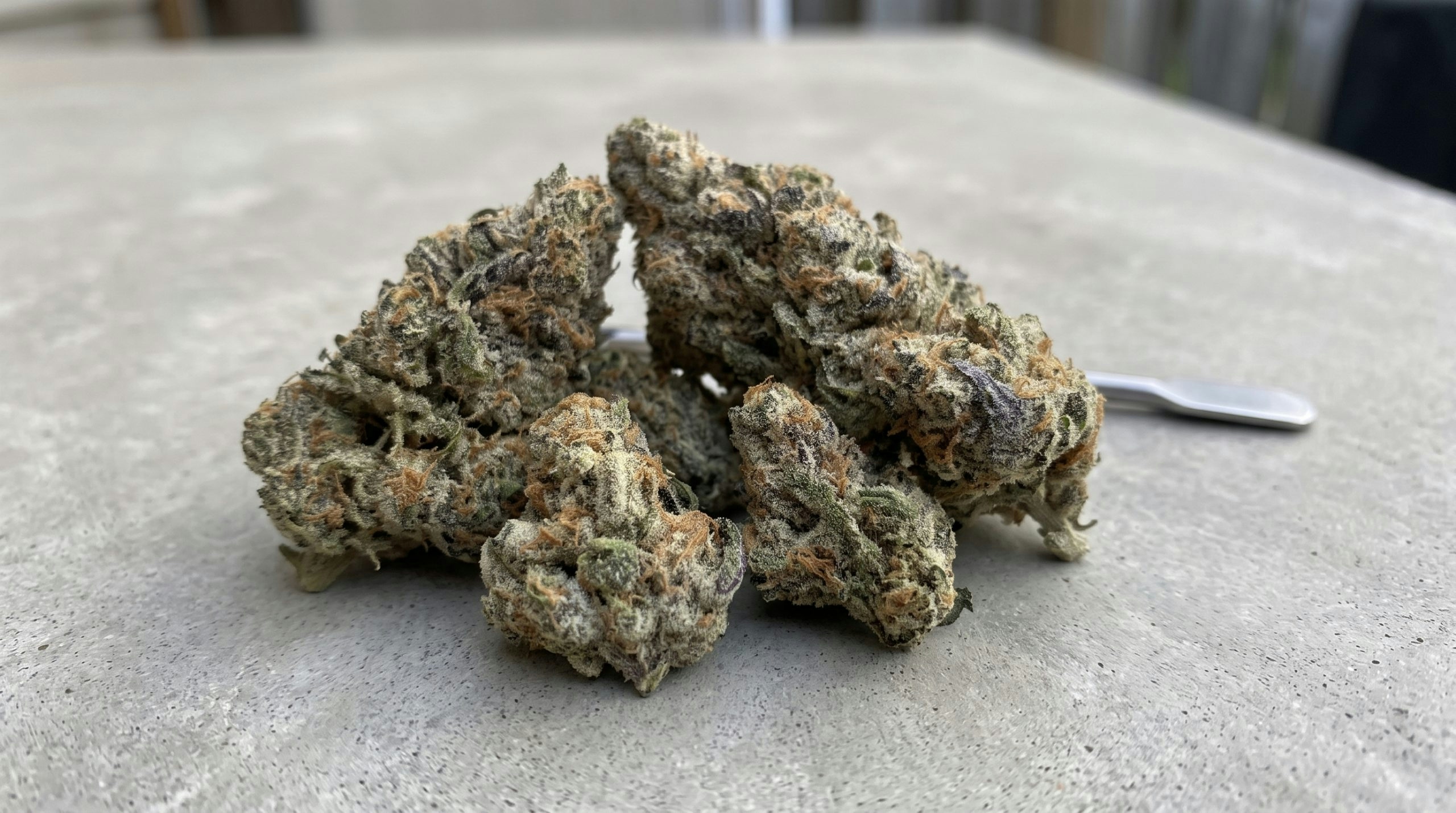 tree flip strain buds