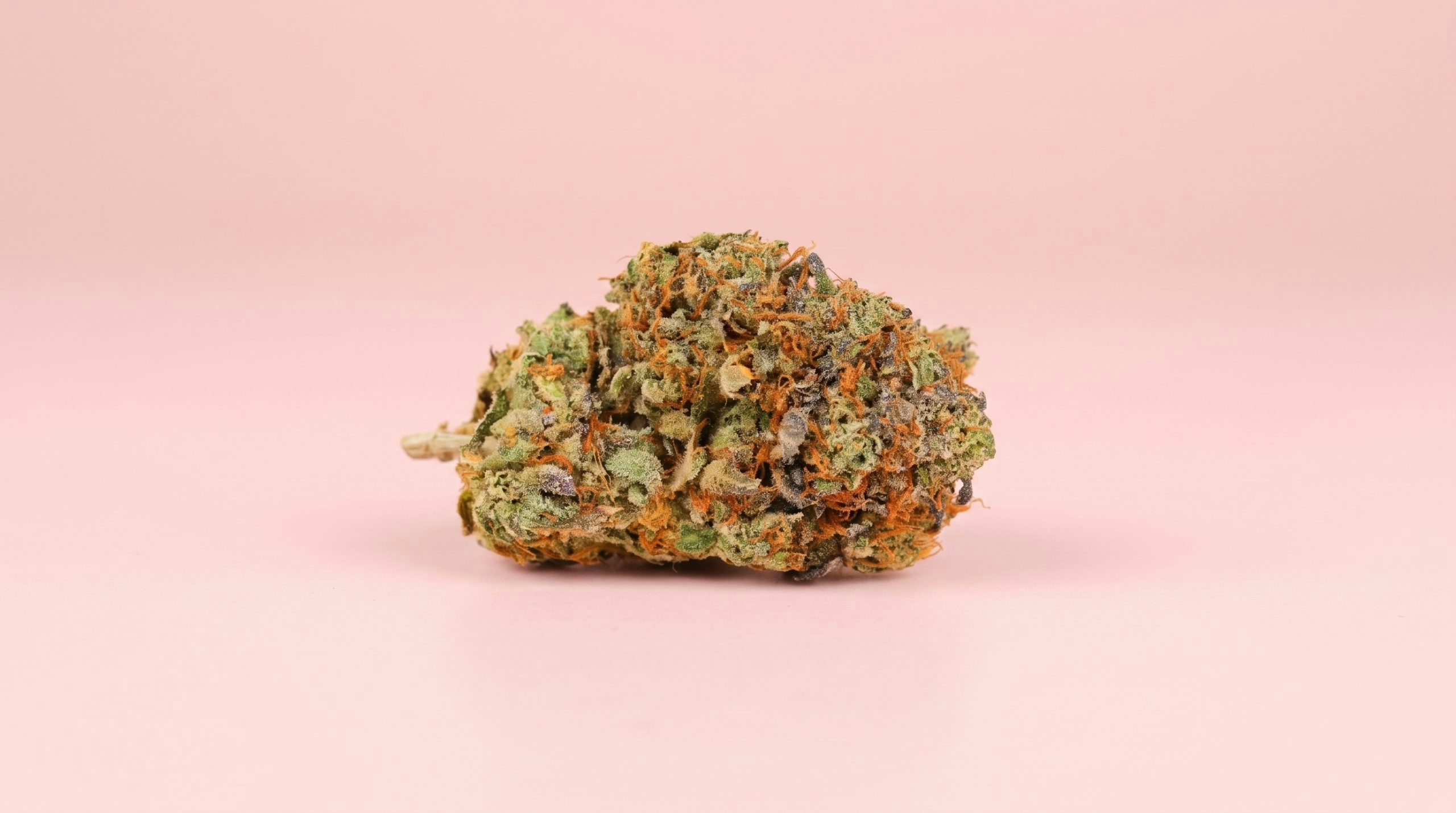 trap candy strain displayed against a pink background