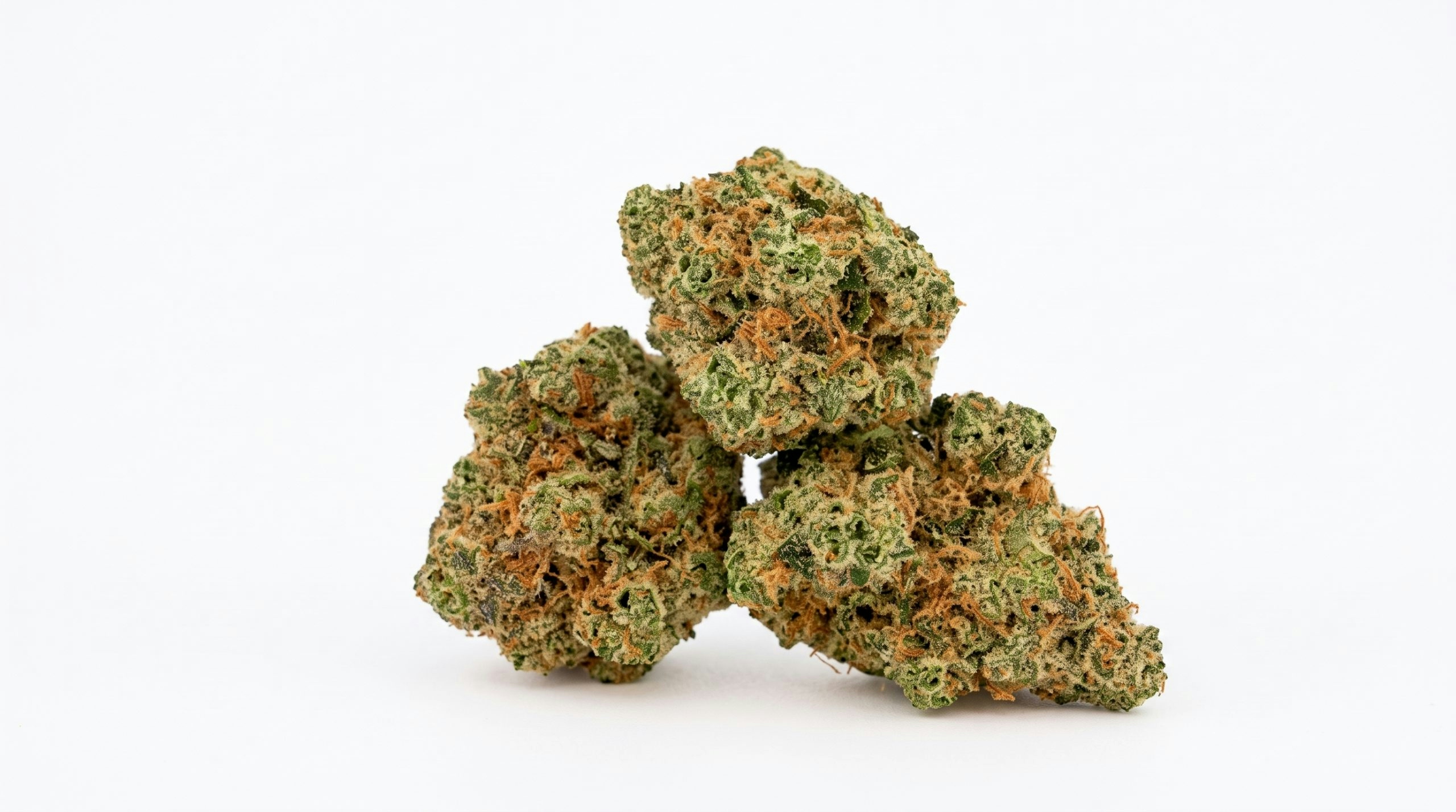 close-up of the trap candy weed strain