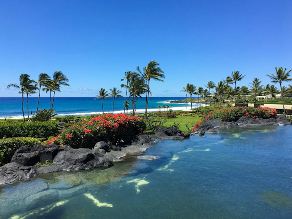 Beautiful Kauai coastline with turquoise waters and dramatic cliffs