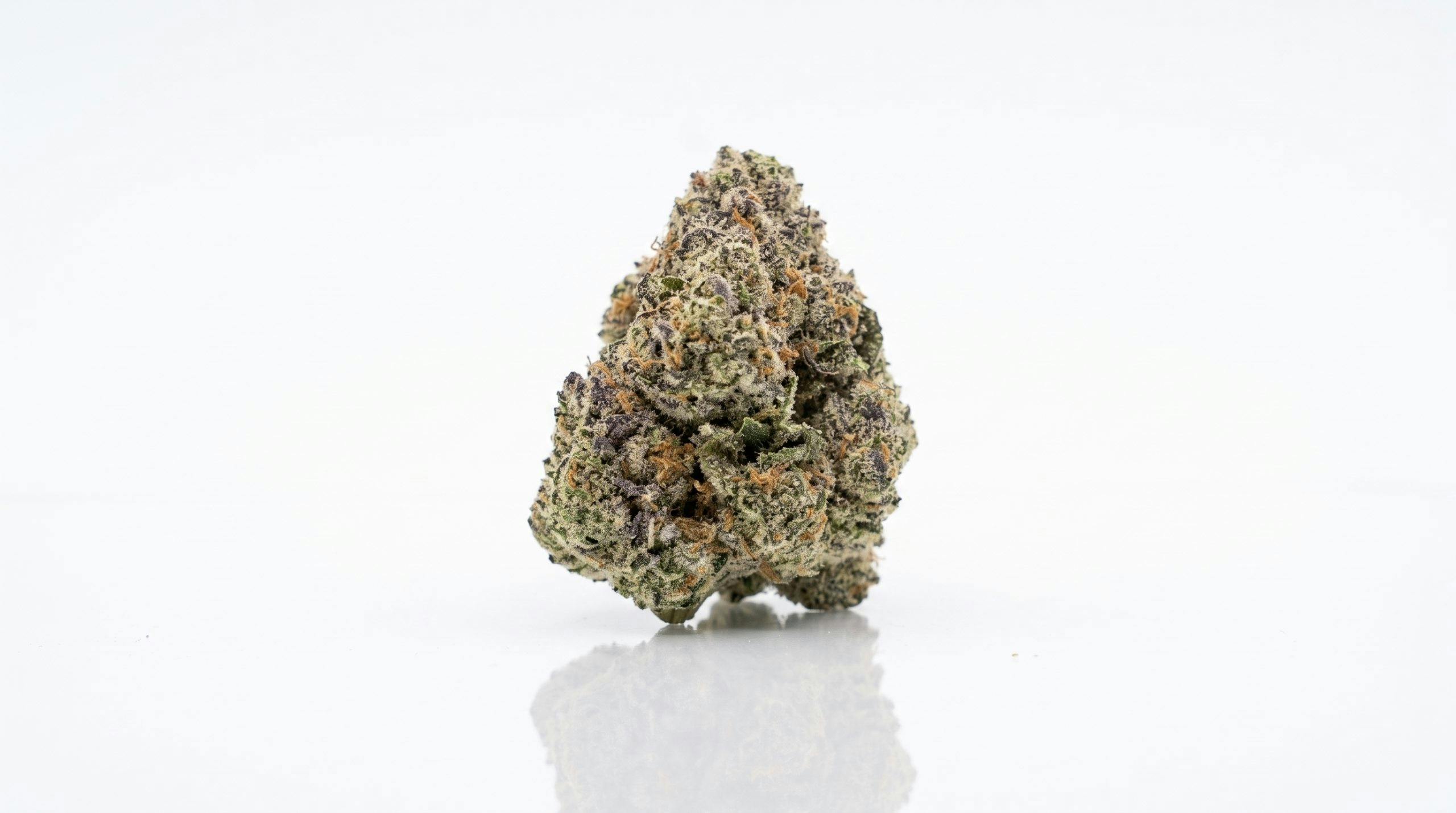 cannabis bud over a white backgorund