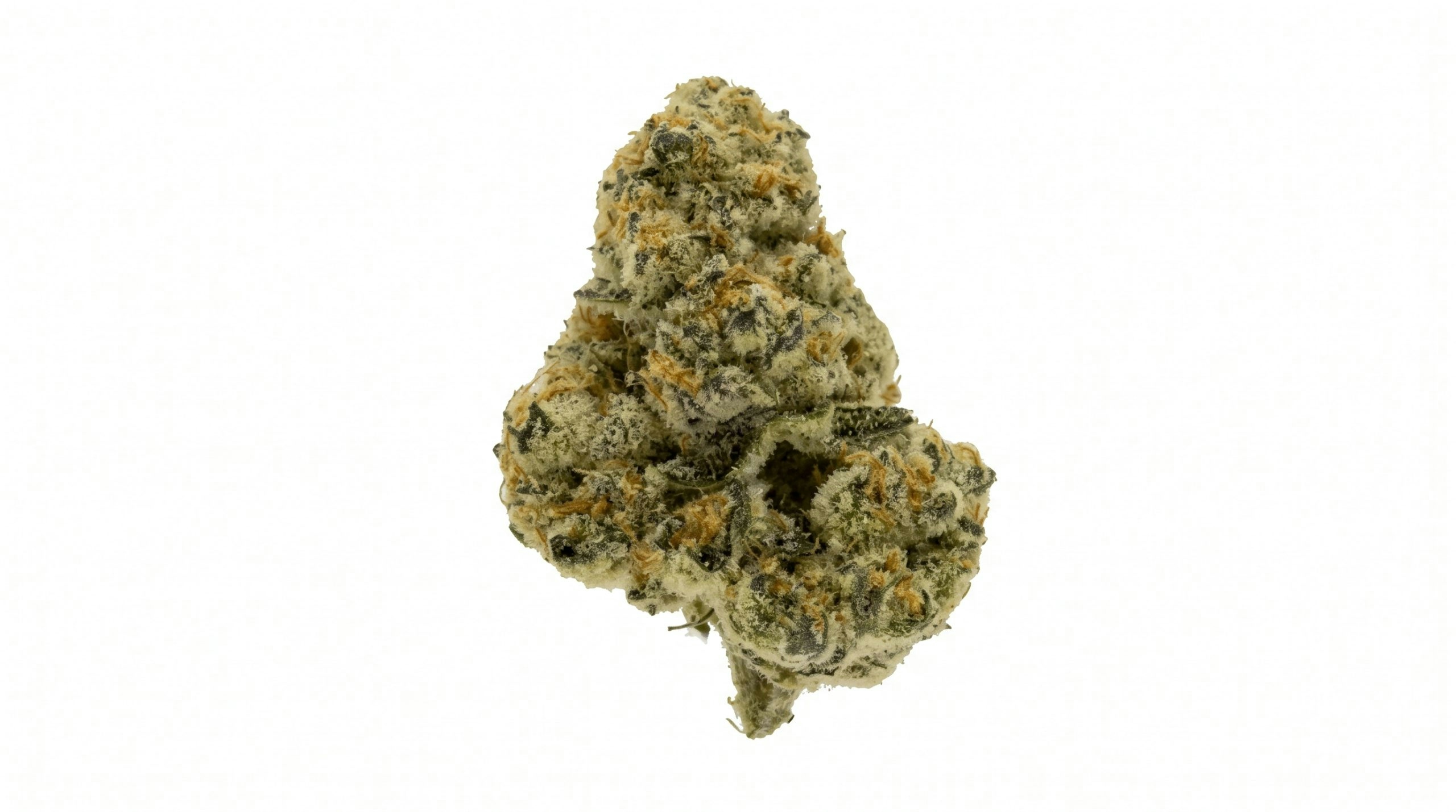 Cannabis bud against a white background