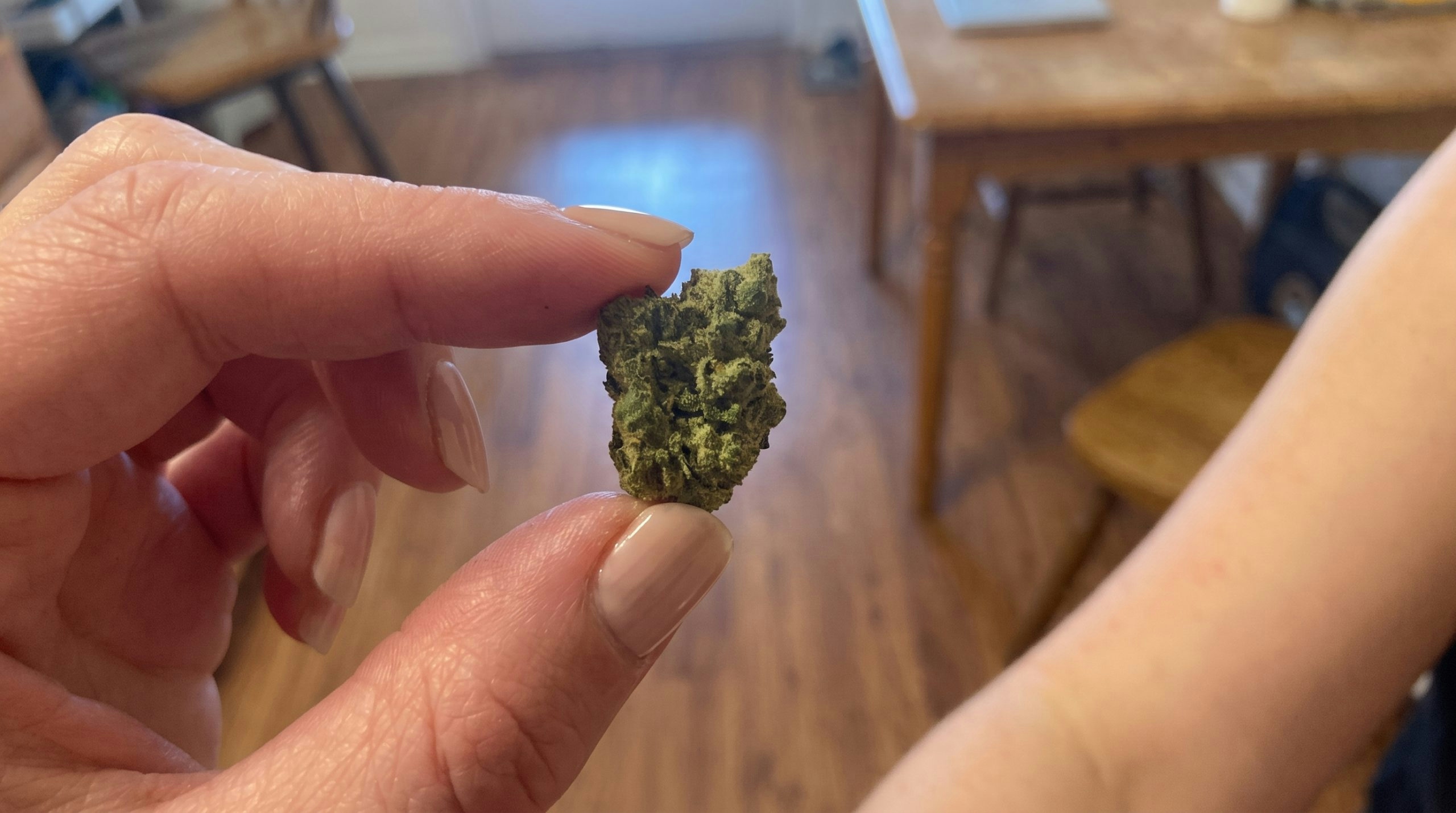 hand holding a beach cake strain bud