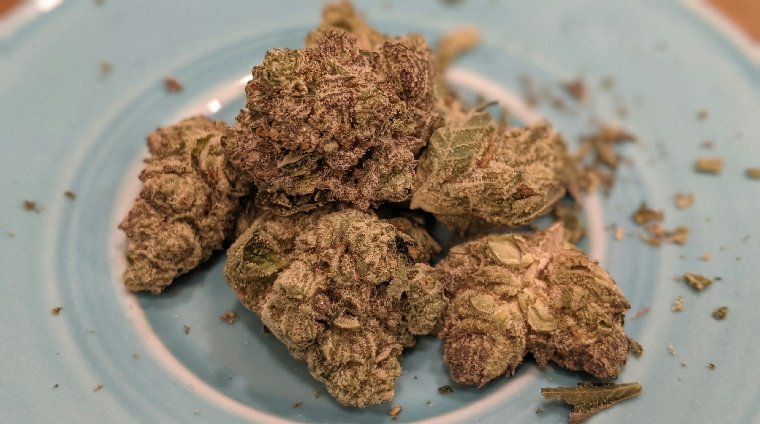 cannabis buds