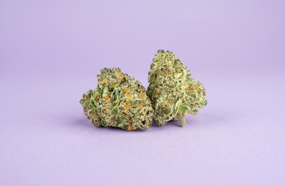 Grape Bubblegum Strain: Terpenes, Effects, Reviews & Everything Else