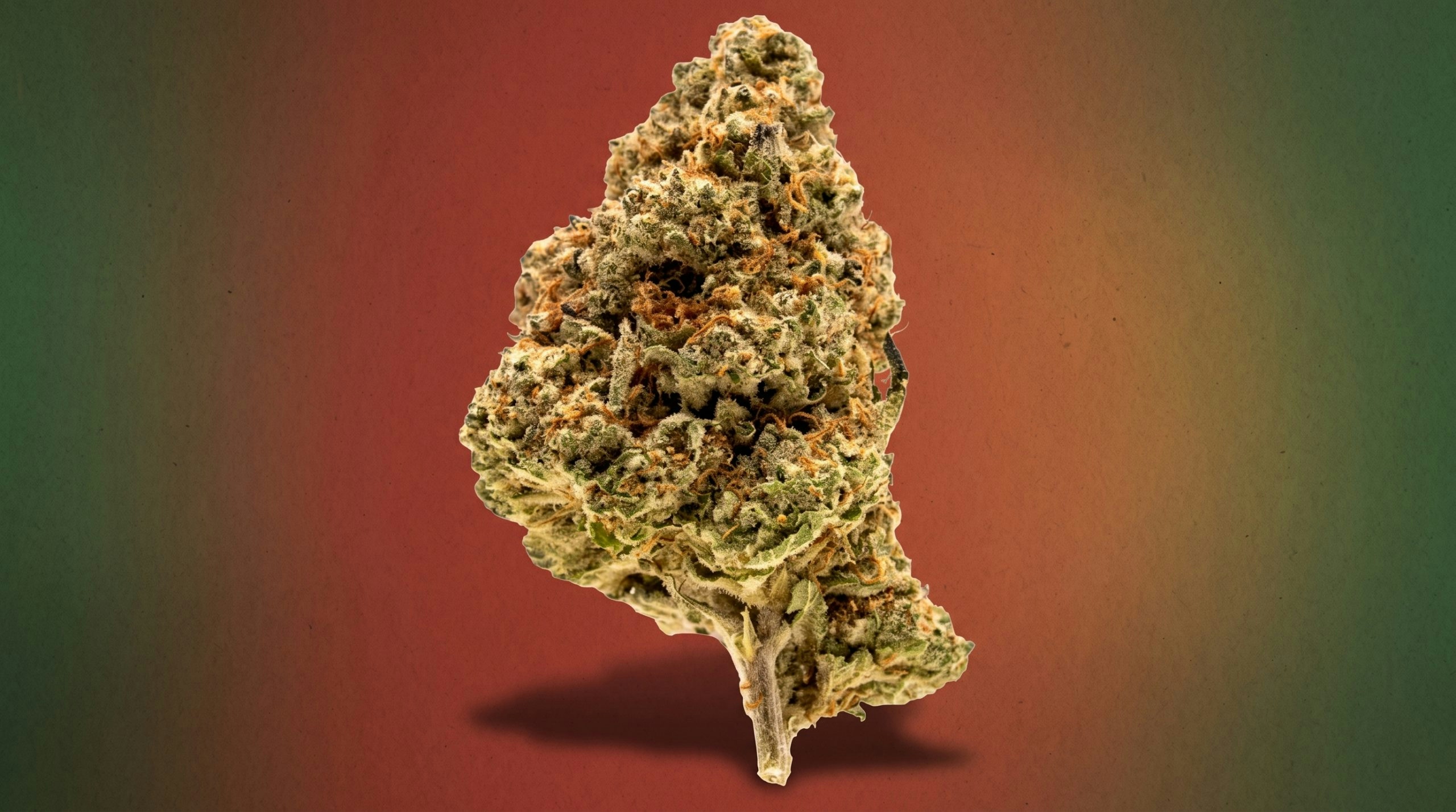 goji og strain