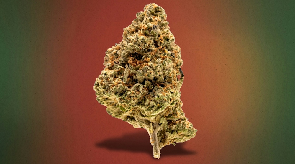 Goji OG Strain: Complete Profile & Where to Buy