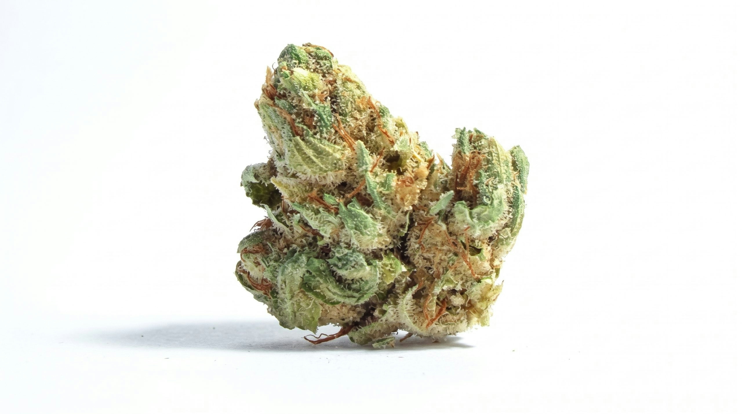 goji og strain over a white background