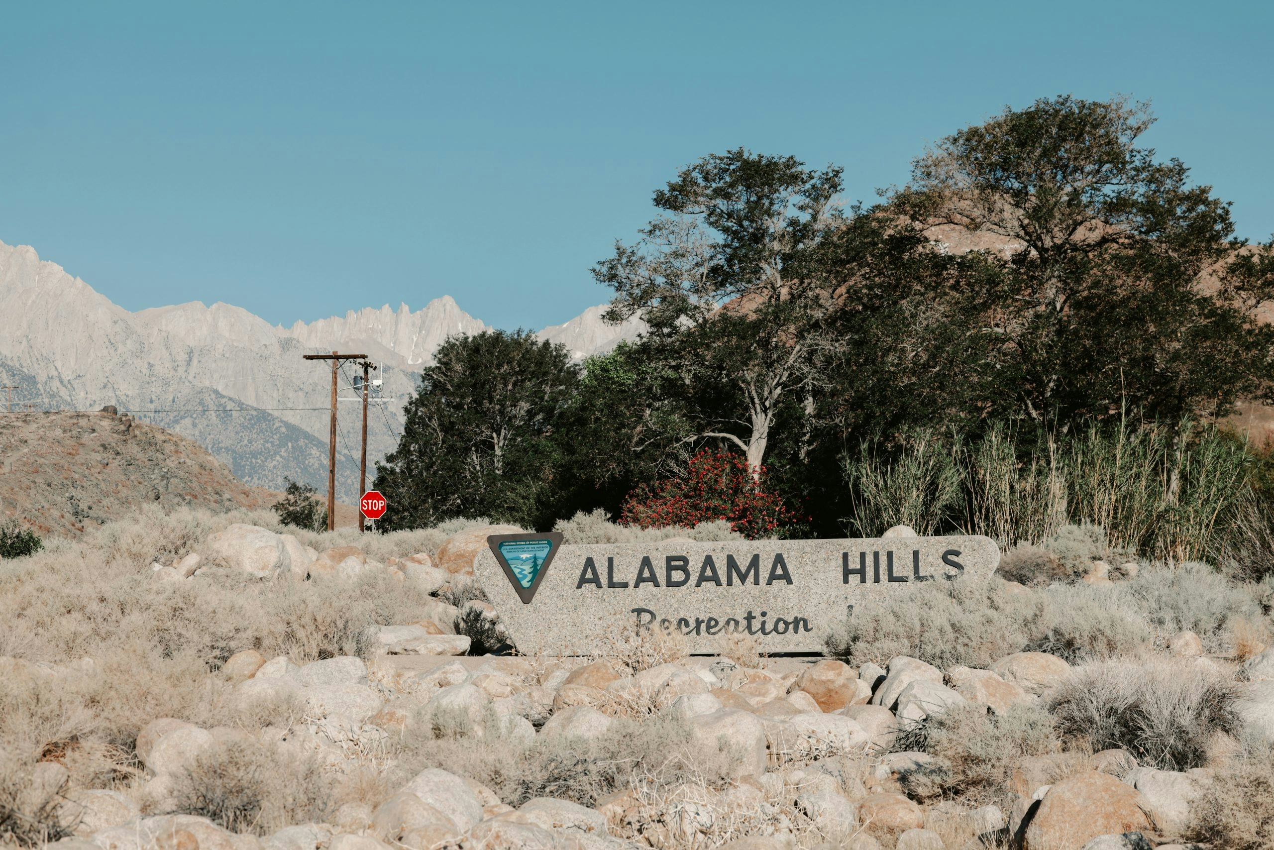 THC Drinks in Alabama: Are They Legal, Where to Buy Them and What’s Changing (2026)