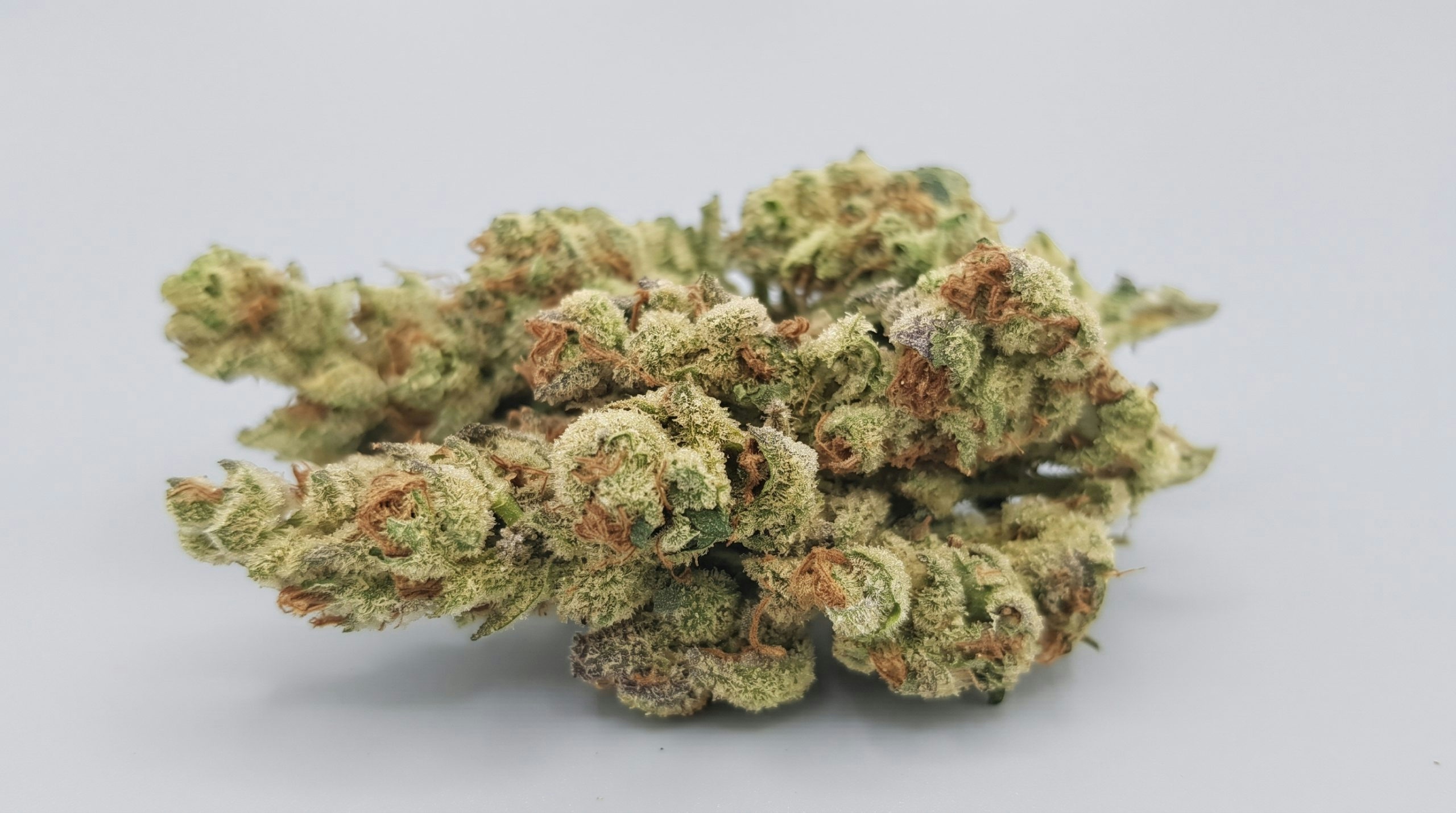 grape stomper buds over a grey background