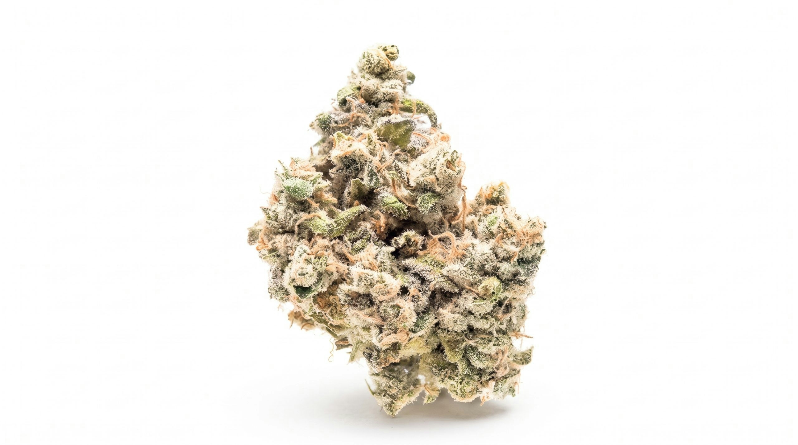 grape stomper weed strain