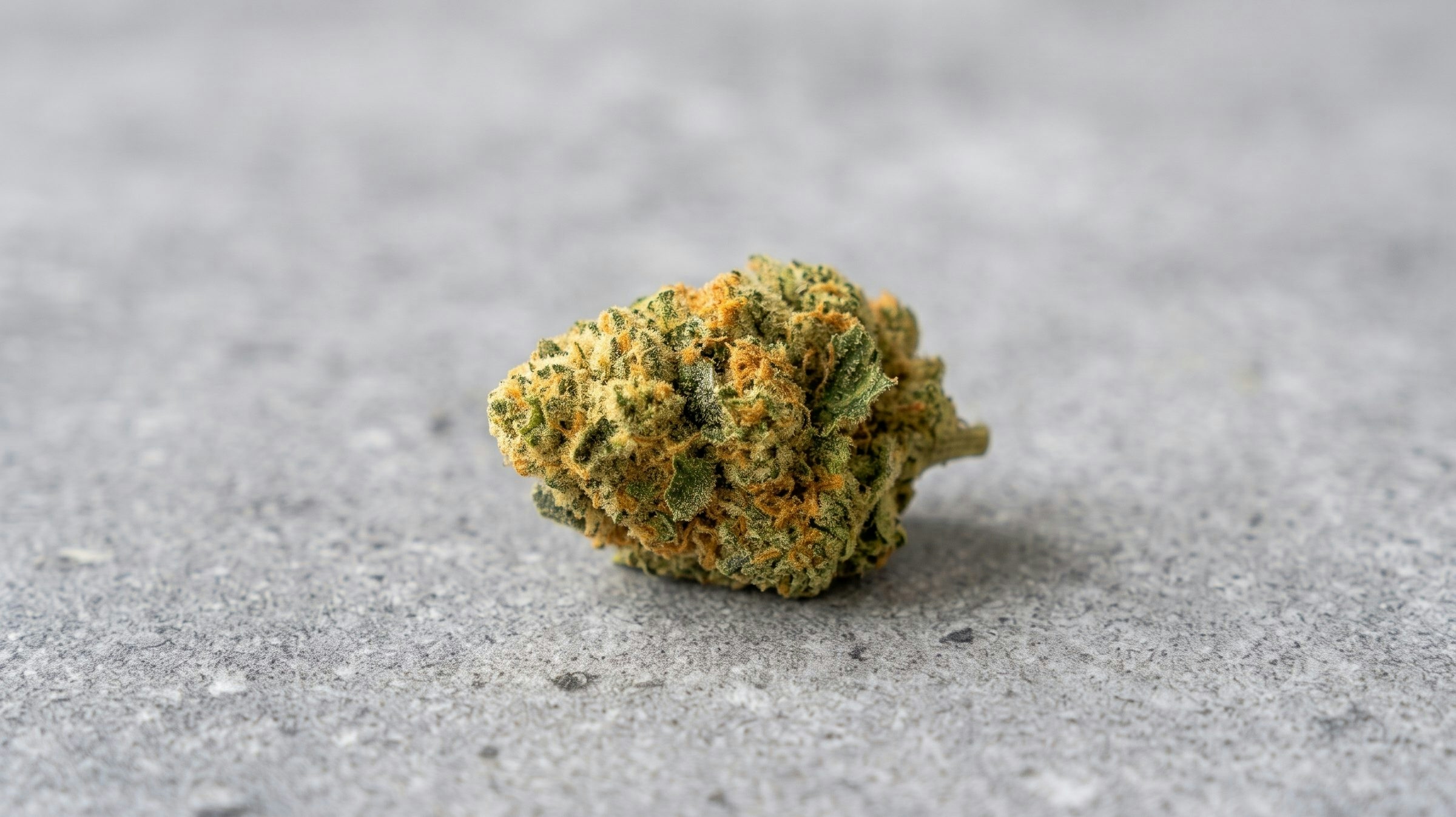 single cannabis bud over a grey background