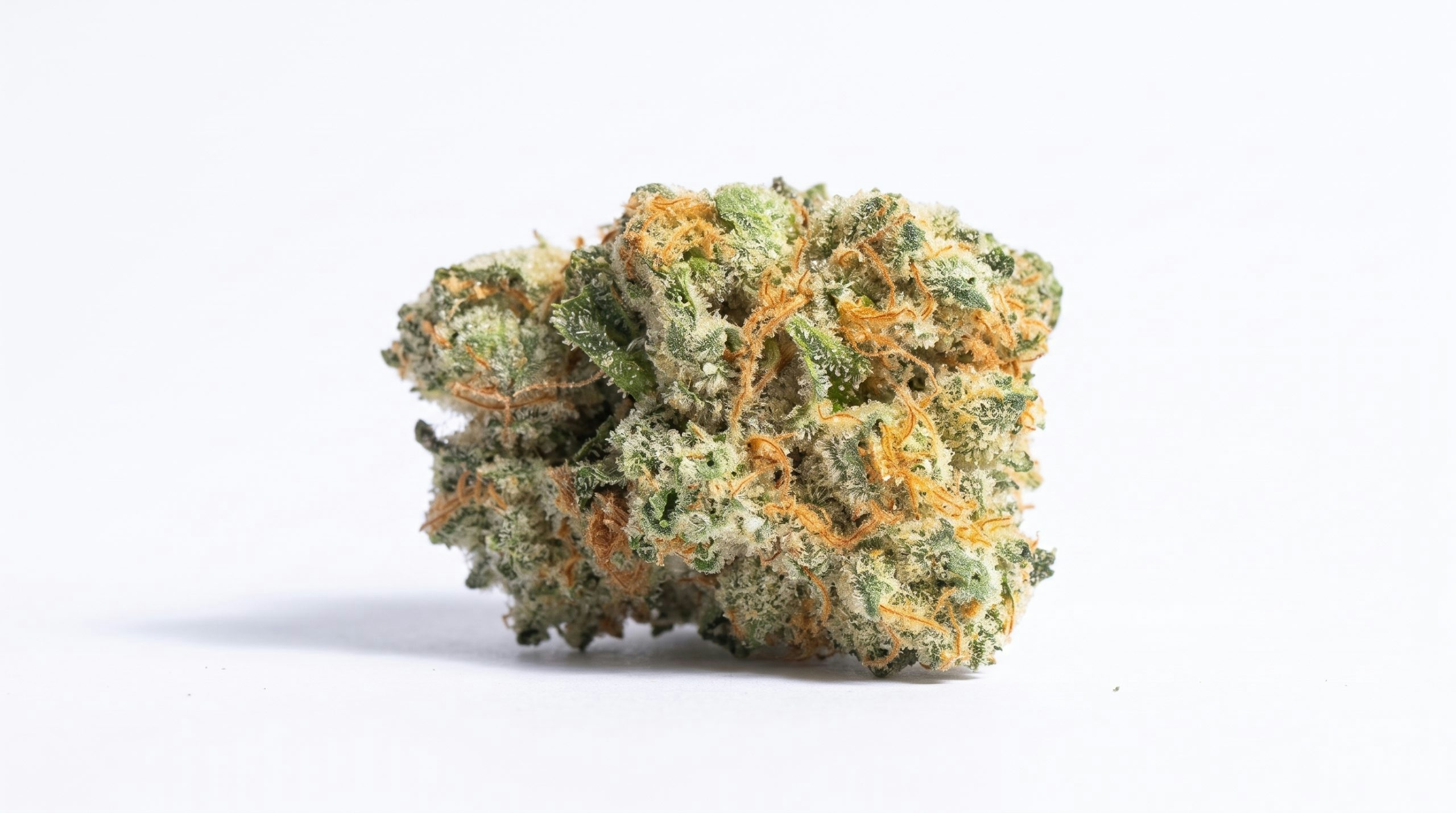 blue coffee strain